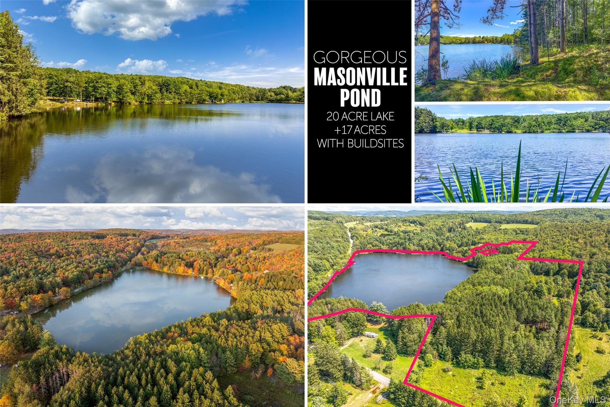 #1 photo, Masonville Pond Cummings Road, Call Listing Agent , NY 