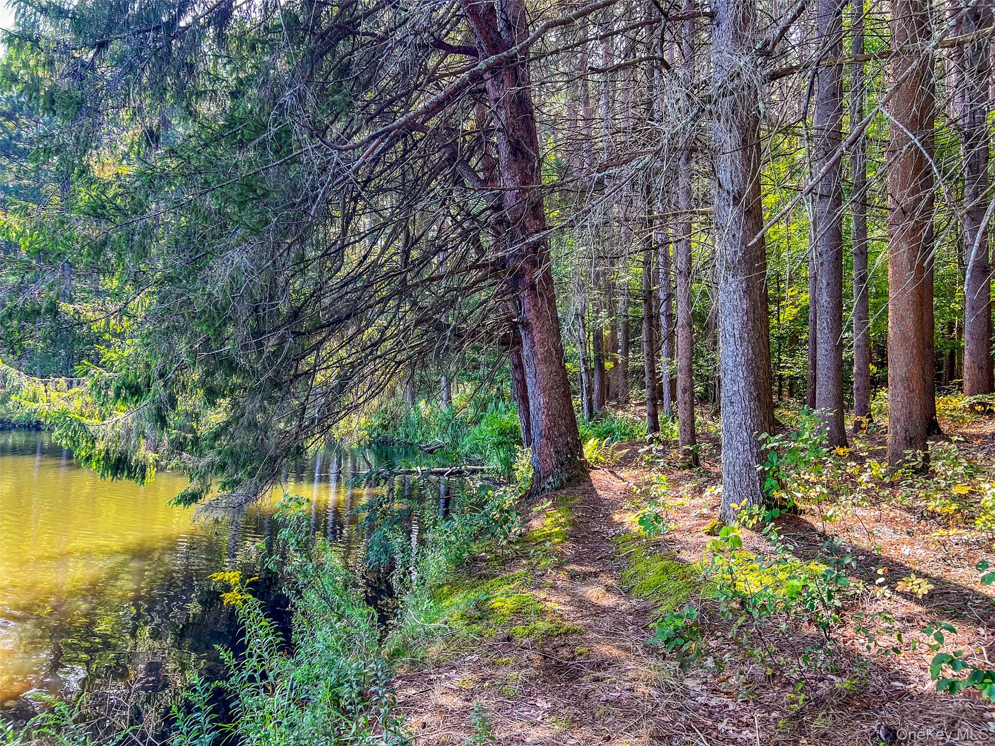 #11 photo, Masonville Pond Cummings Road, Call Listing Agent , NY 