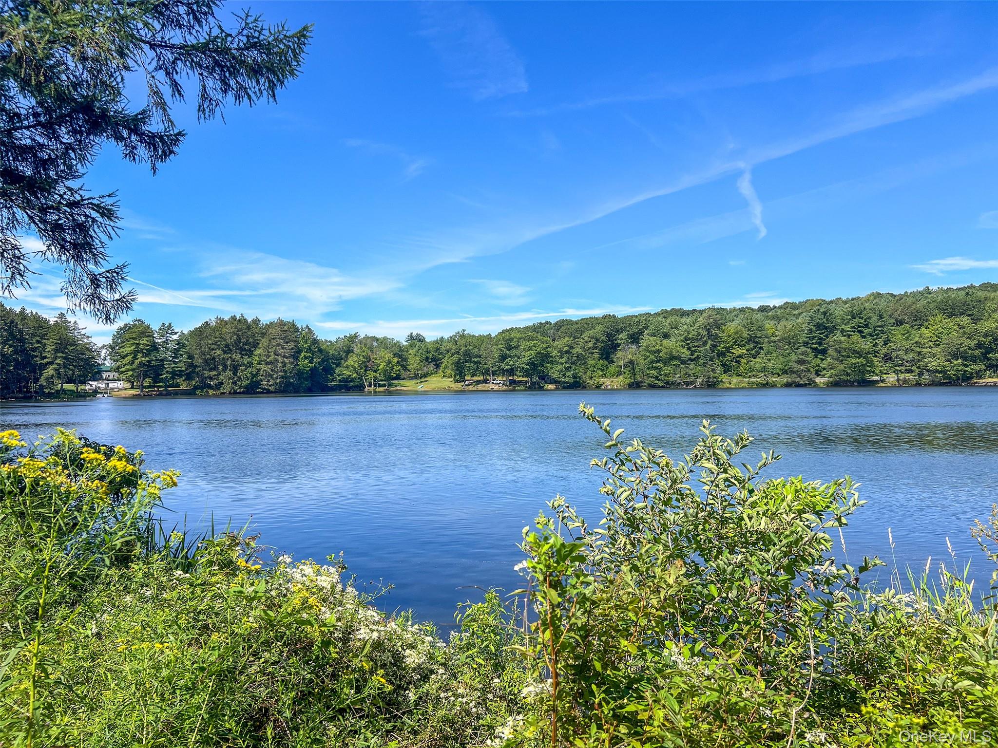 #12 photo, Masonville Pond Cummings Road, Call Listing Agent , NY 