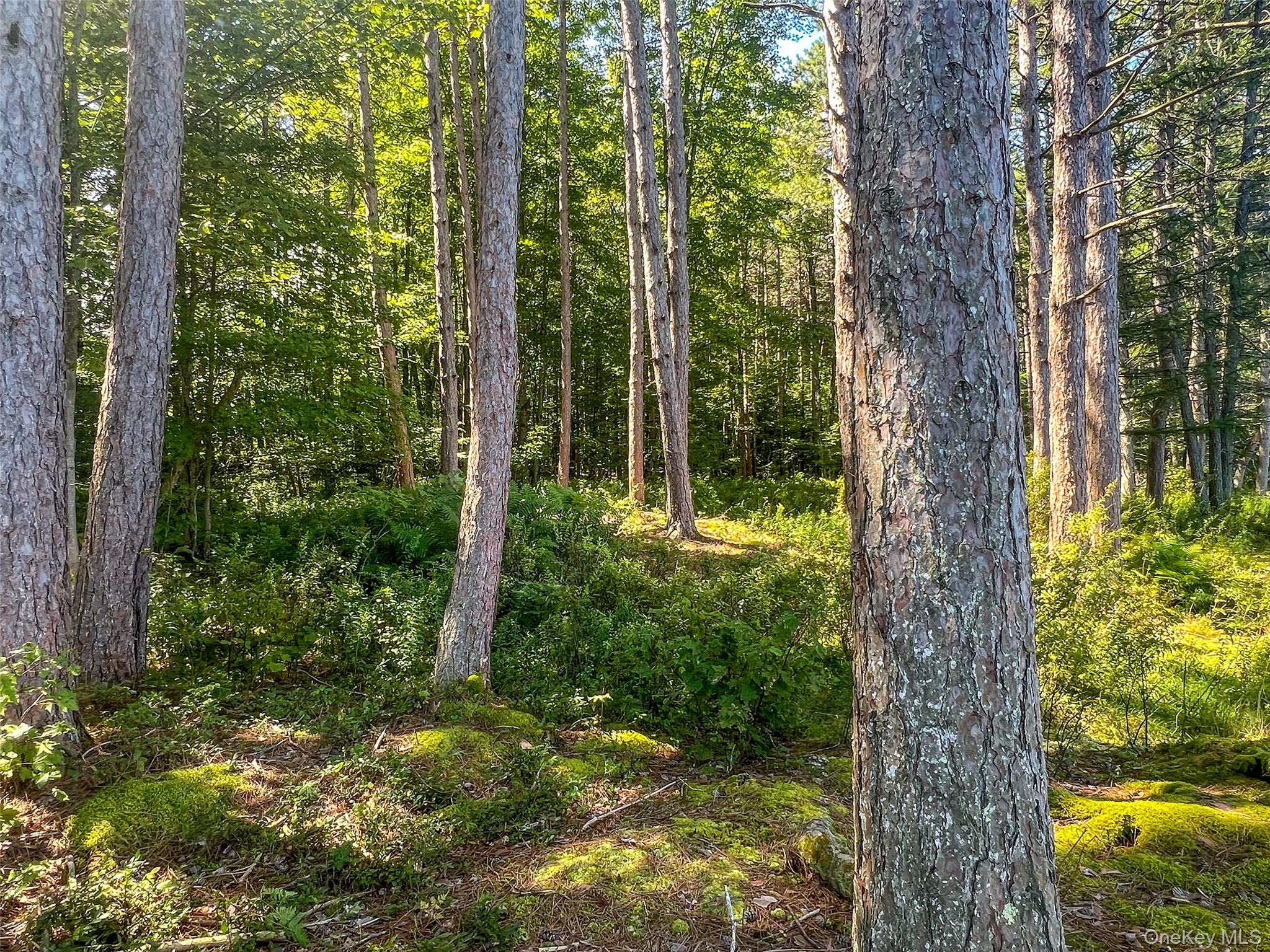 #14 photo, Masonville Pond Cummings Road, Call Listing Agent , NY 