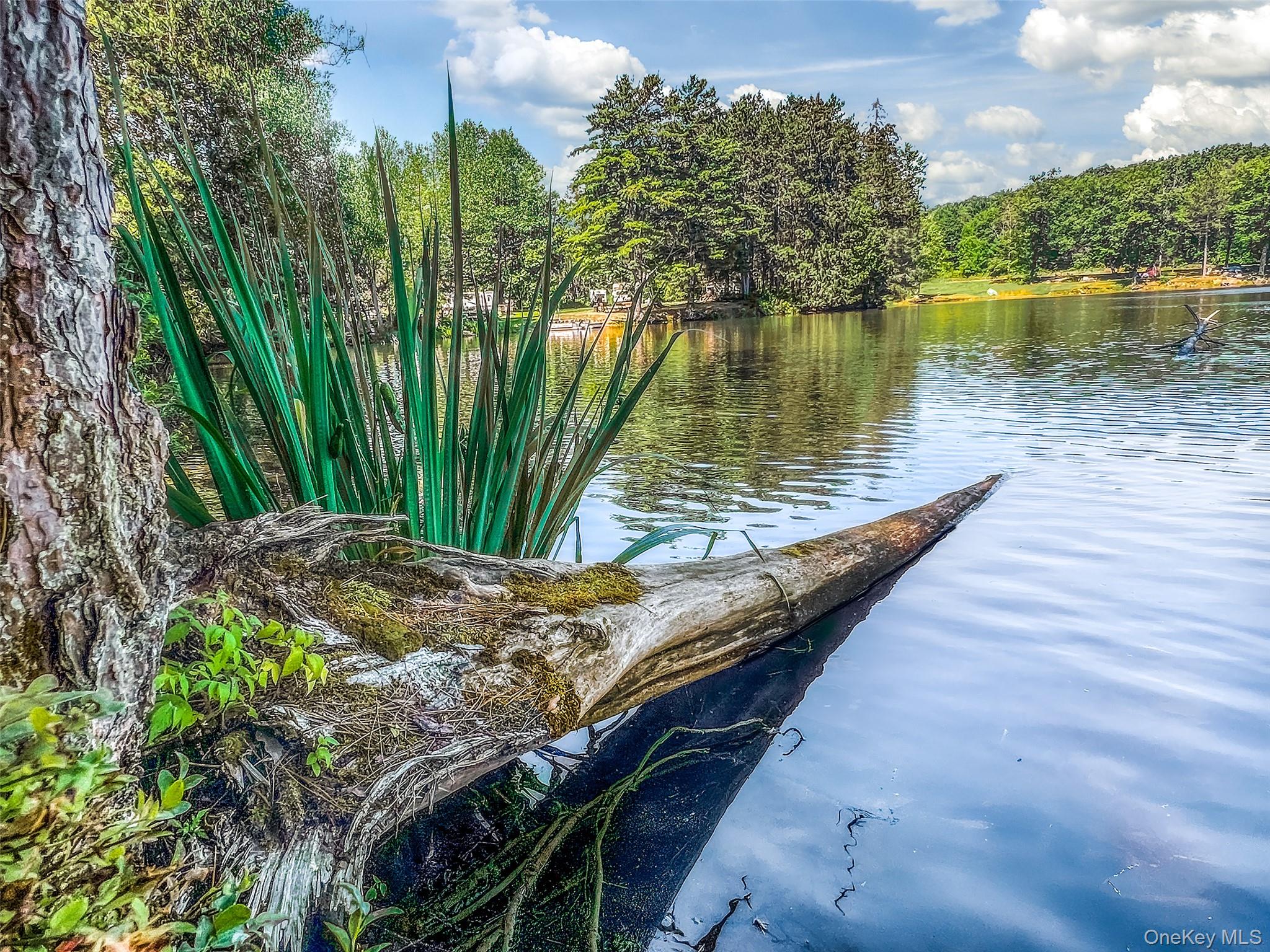 #16 photo, Masonville Pond Cummings Road, Call Listing Agent , NY 