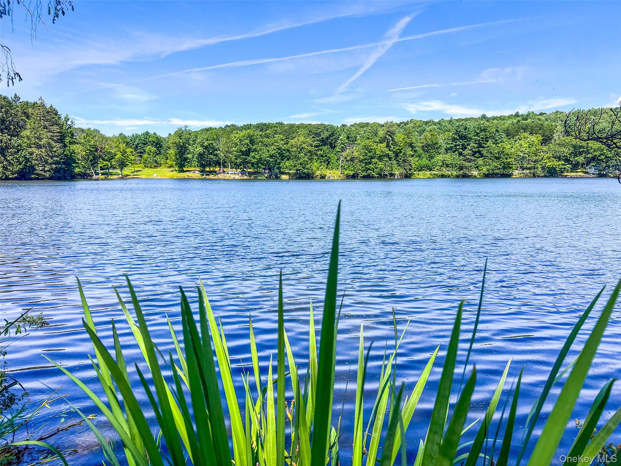 #17 photo, Masonville Pond Cummings Road, Call Listing Agent , NY 