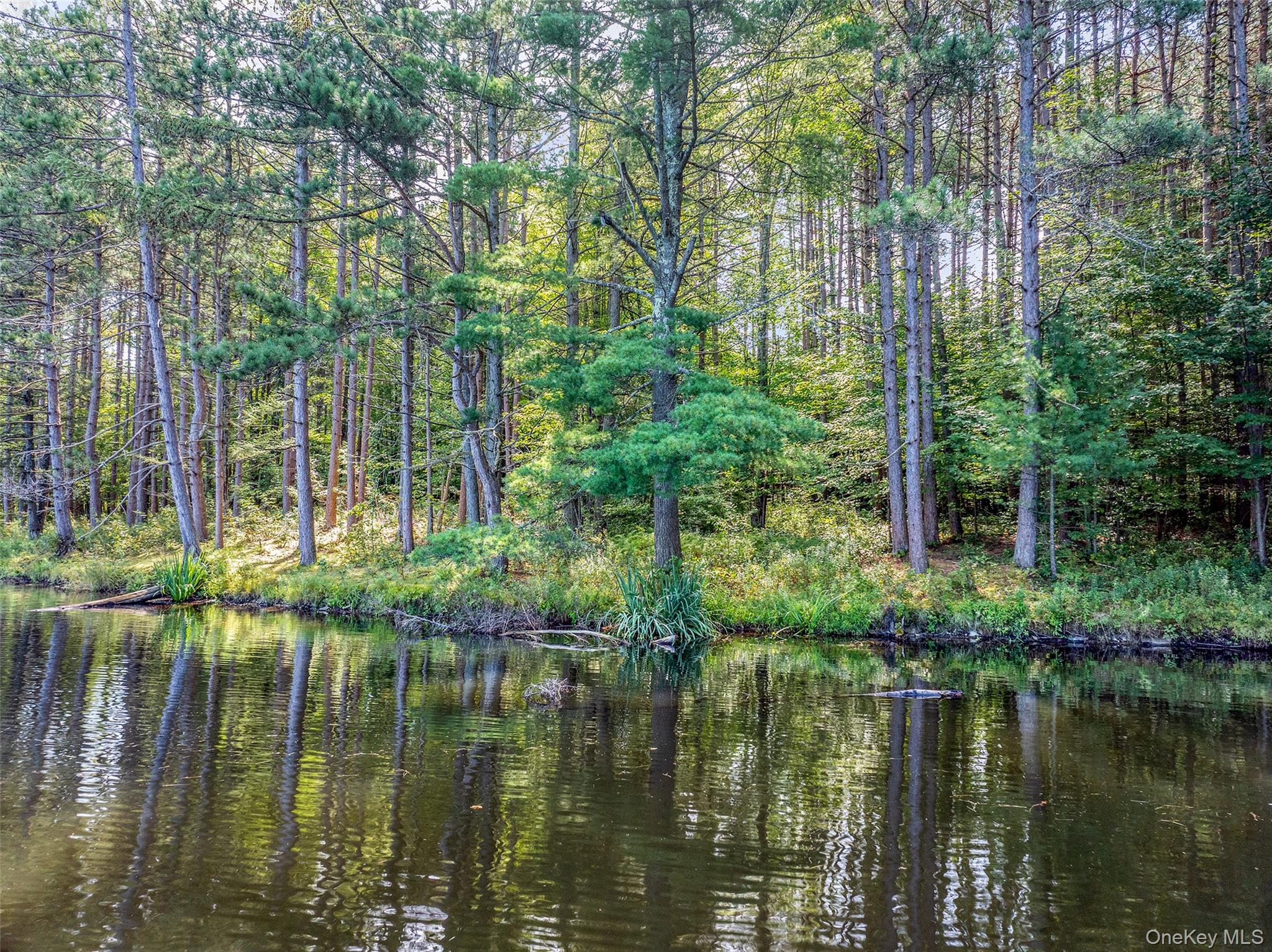 #18 photo, Masonville Pond Cummings Road, Call Listing Agent , NY 