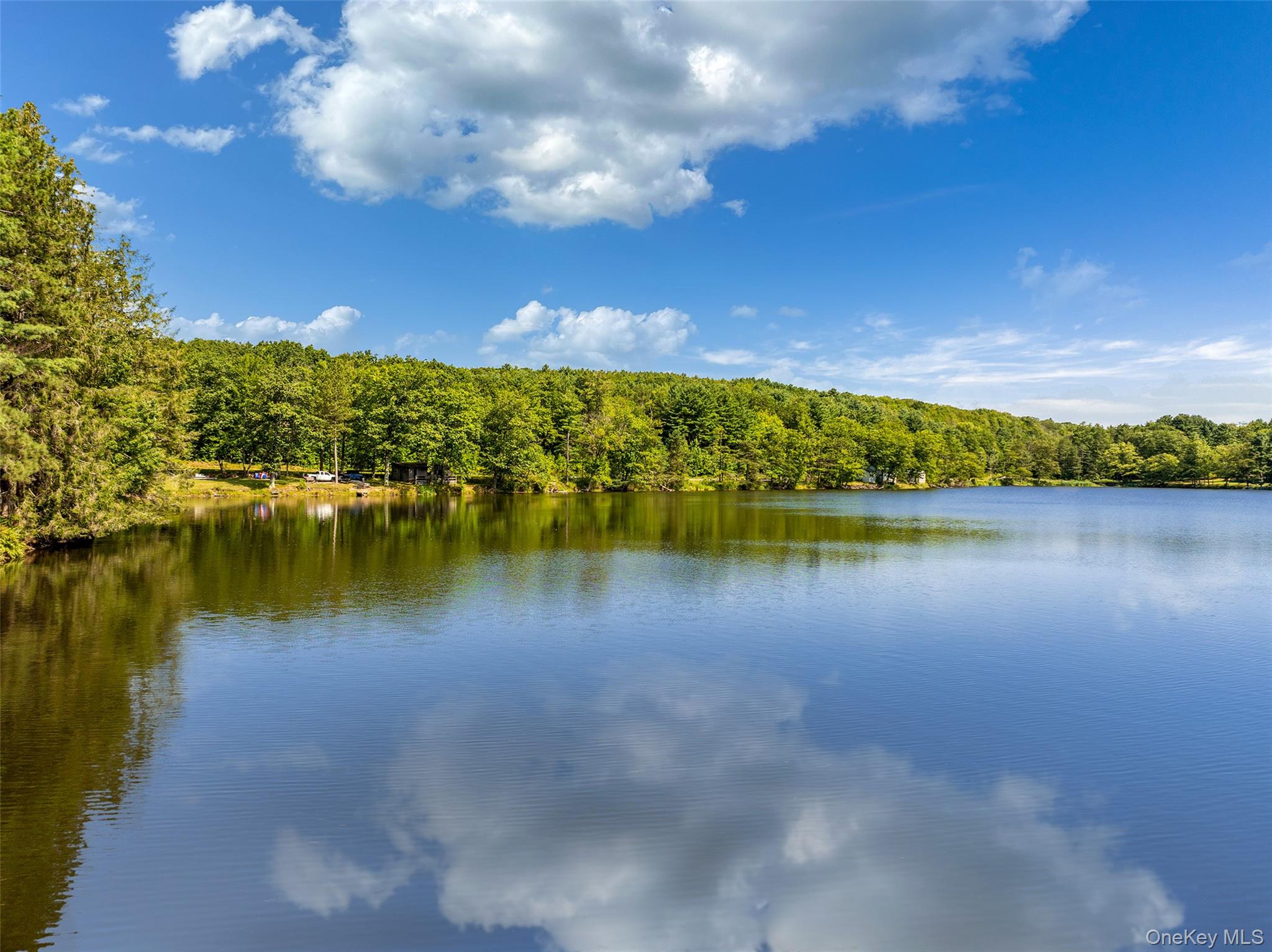 #19 photo, Masonville Pond Cummings Road, Call Listing Agent , NY 