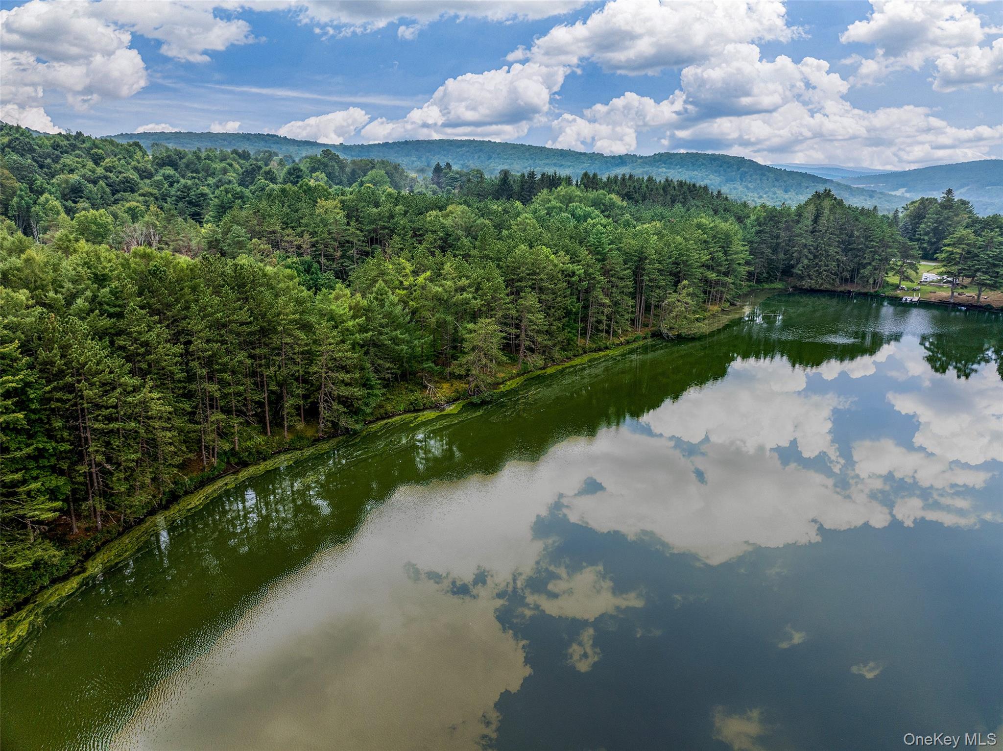 #20 photo, Masonville Pond Cummings Road, Call Listing Agent , NY 