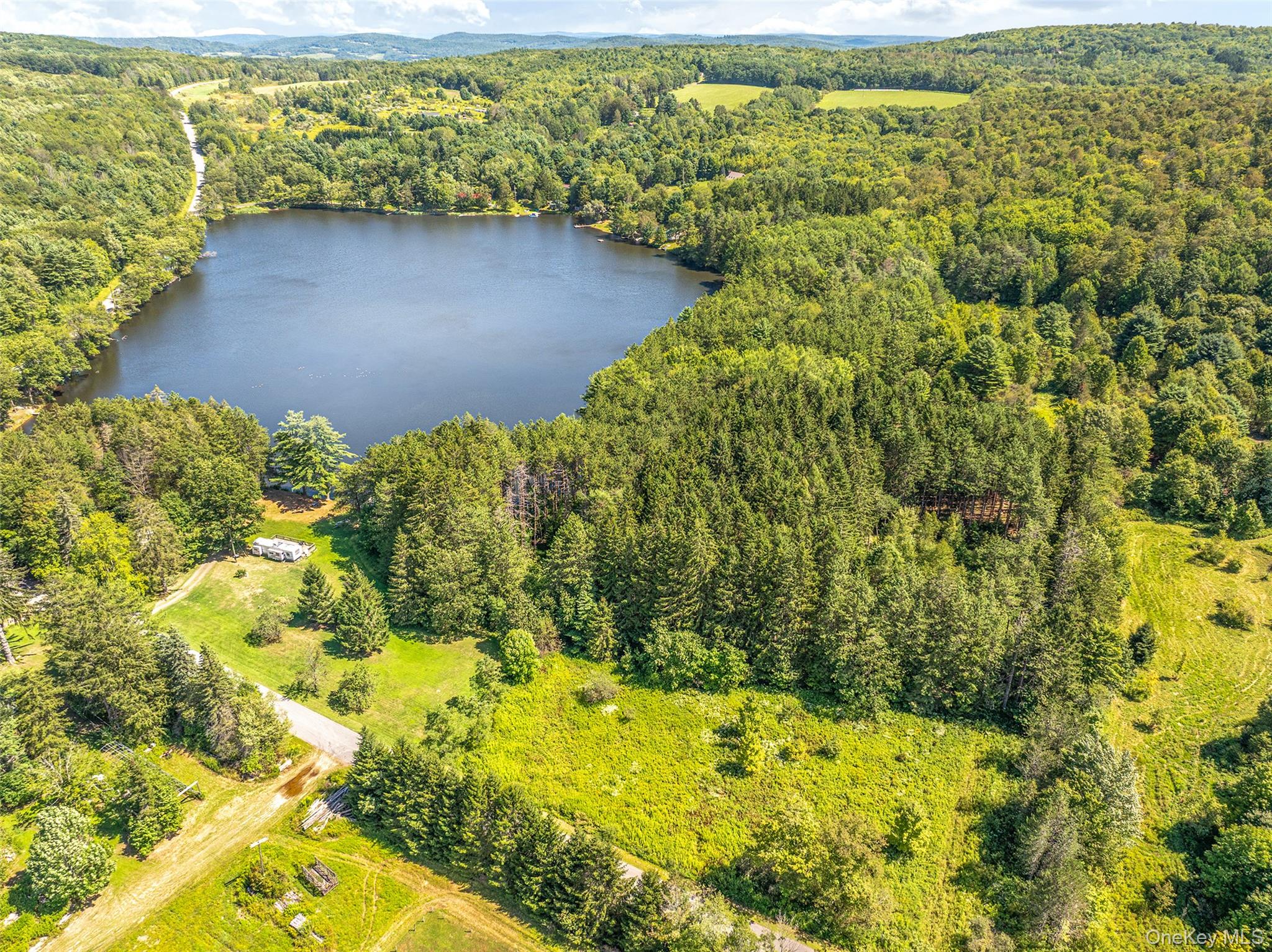 #3 photo, Masonville Pond Cummings Road, Call Listing Agent , NY 