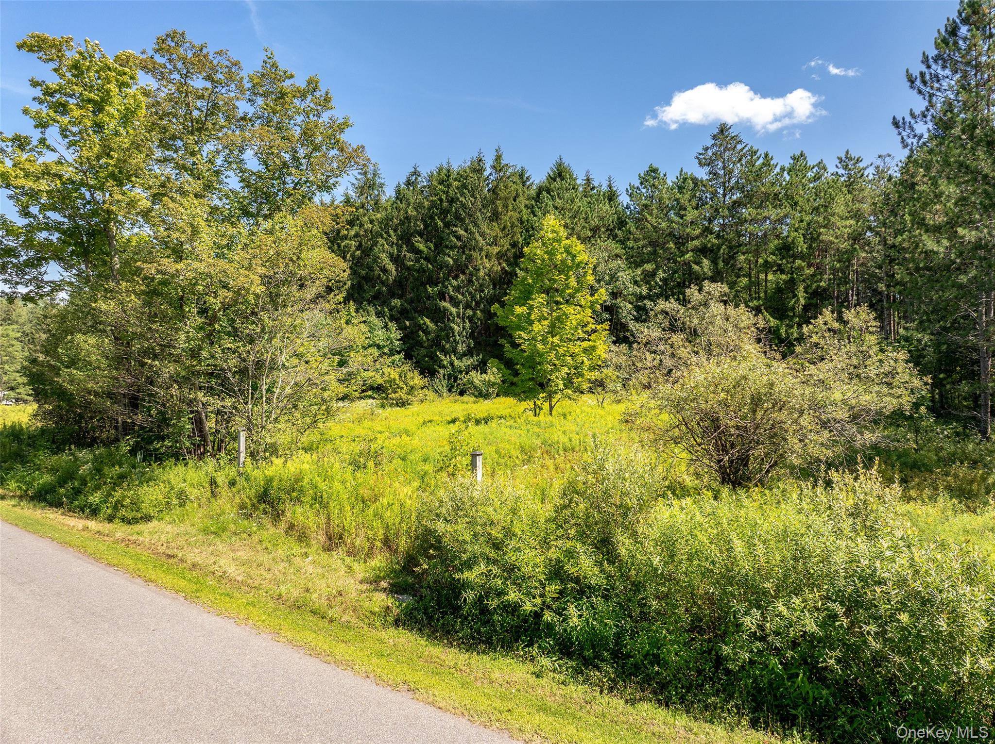 #4 photo, Masonville Pond Cummings Road, Call Listing Agent , NY 