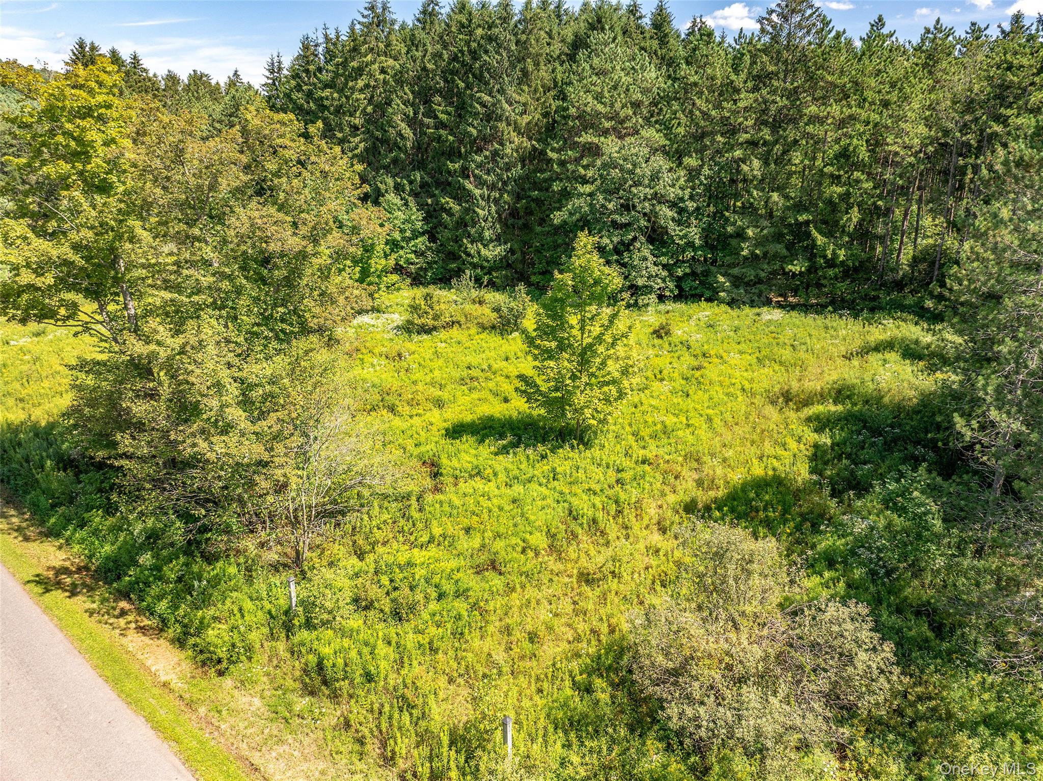 #5 photo, Masonville Pond Cummings Road, Call Listing Agent , NY 