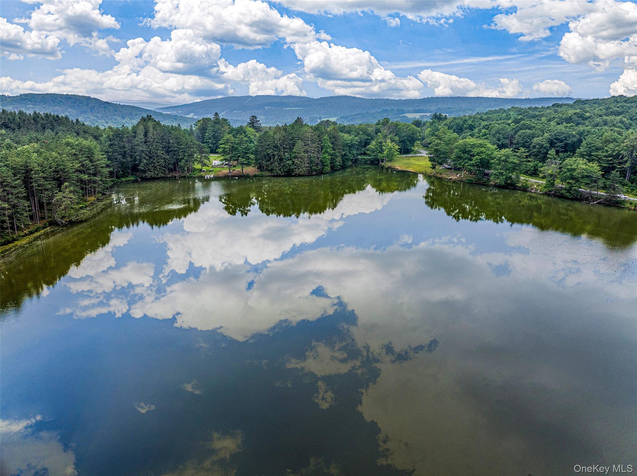 #6 photo, Masonville Pond Cummings Road, Call Listing Agent , NY 