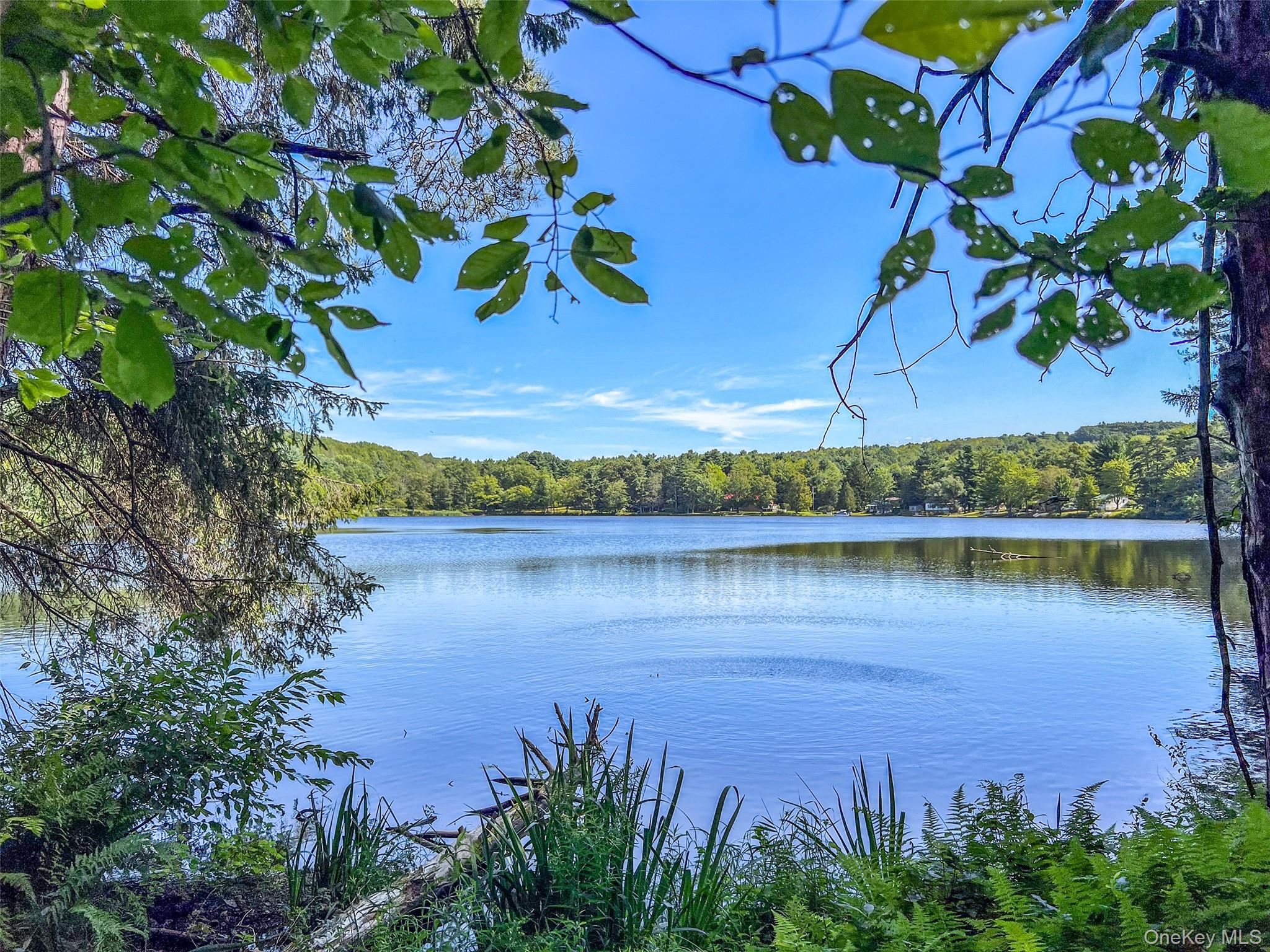 #7 photo, Masonville Pond Cummings Road, Call Listing Agent , NY 