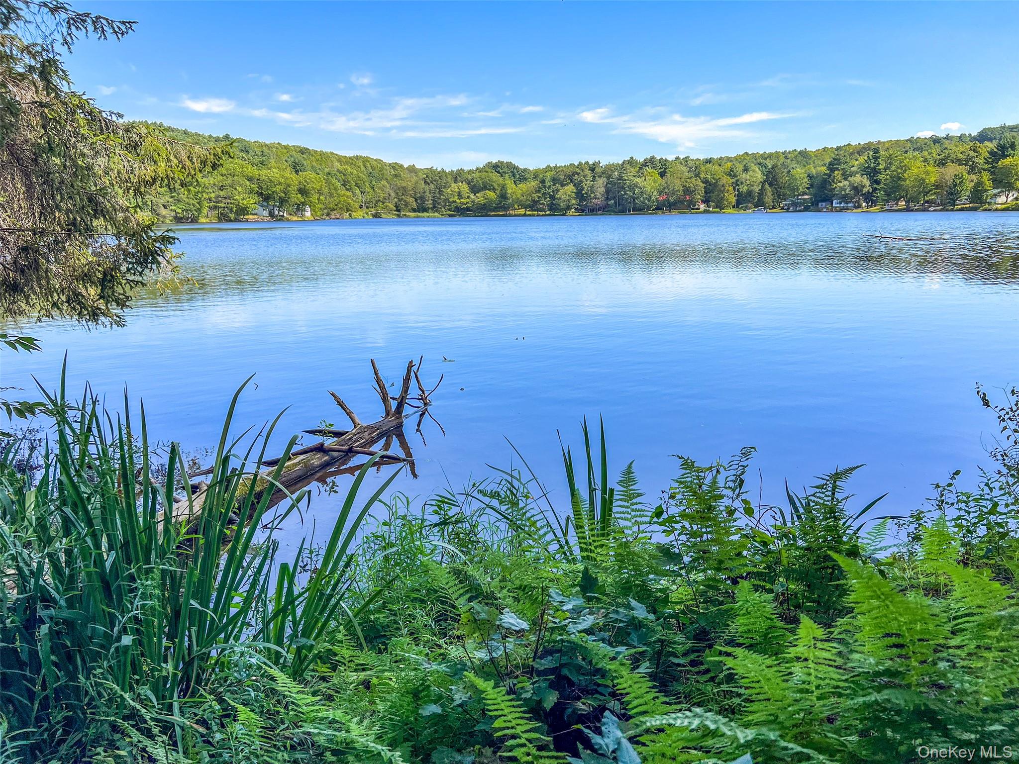 #8 photo, Masonville Pond Cummings Road, Call Listing Agent , NY 