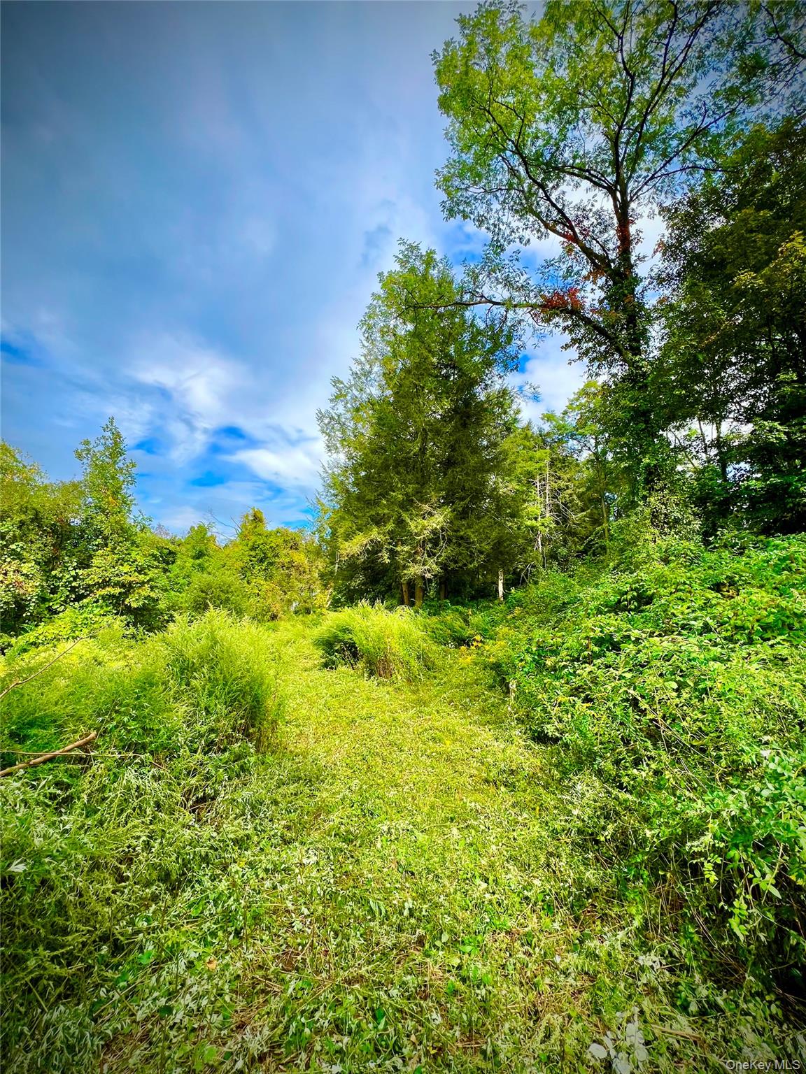 #1 photo, 890 Route 312, Brewster , NY 10509