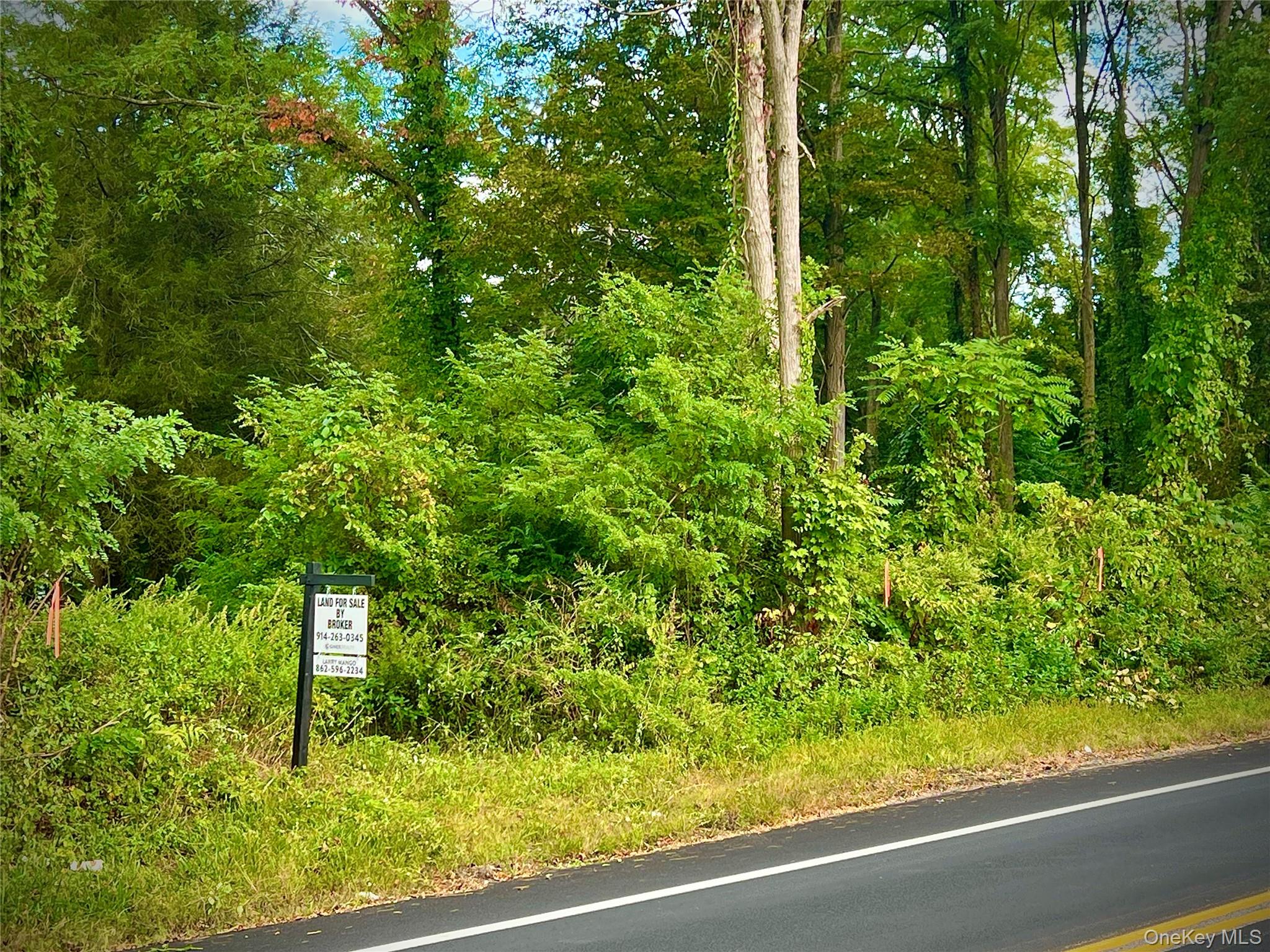 #3 photo, 890 Route 312, Brewster , NY 10509