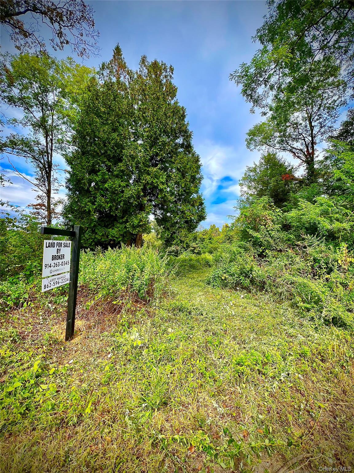 #4 photo, 890 Route 312, Brewster , NY 10509