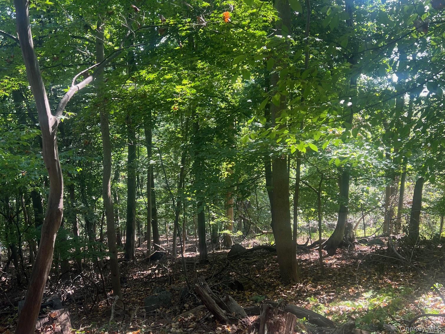 #3 photo, 903 Route 9W, Nyack , NY 10960