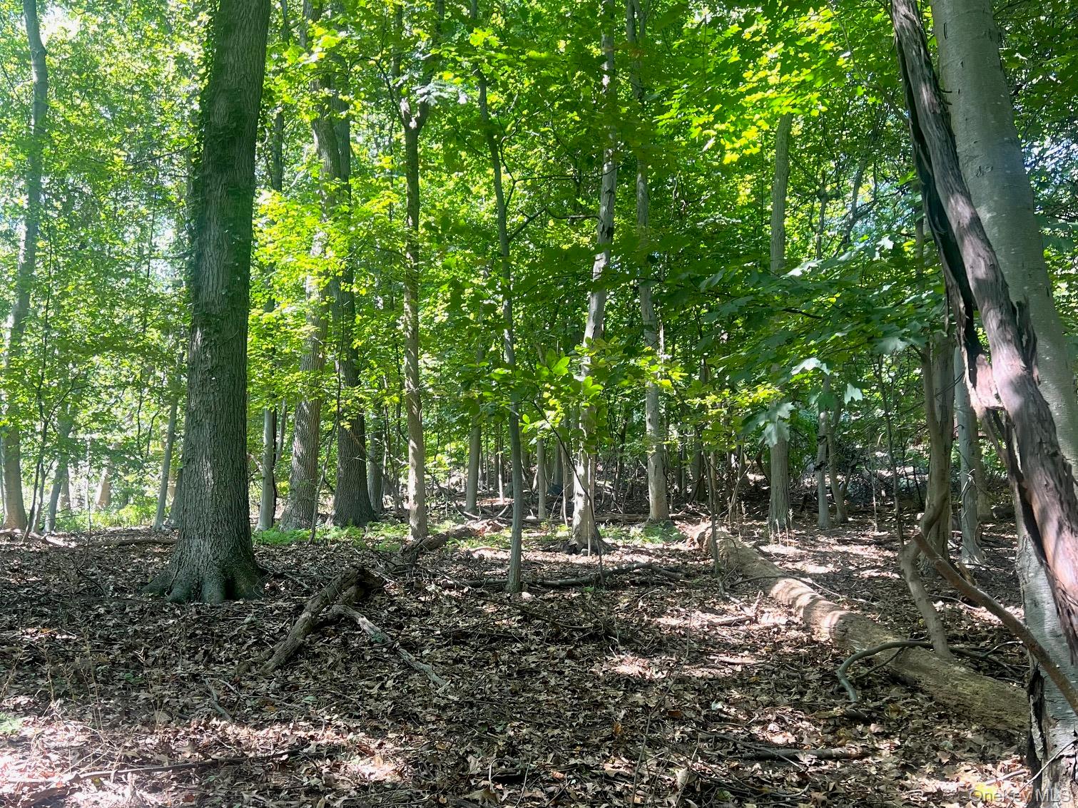 #5 photo, 903 Route 9W, Nyack , NY 10960