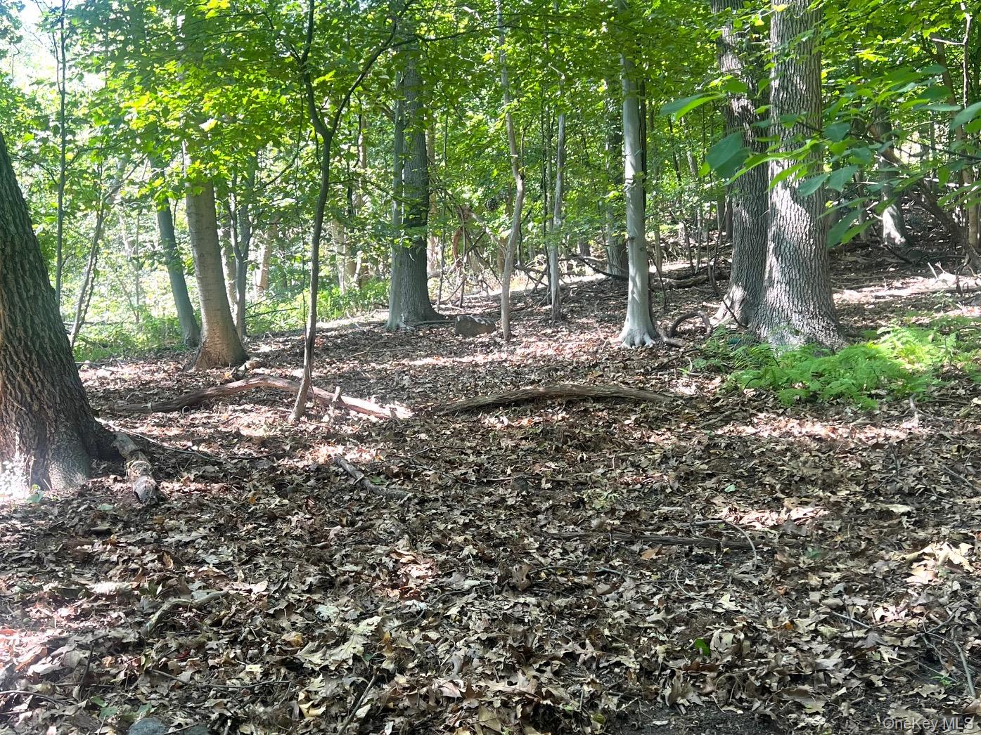 #6 photo, 903 Route 9W, Nyack , NY 10960