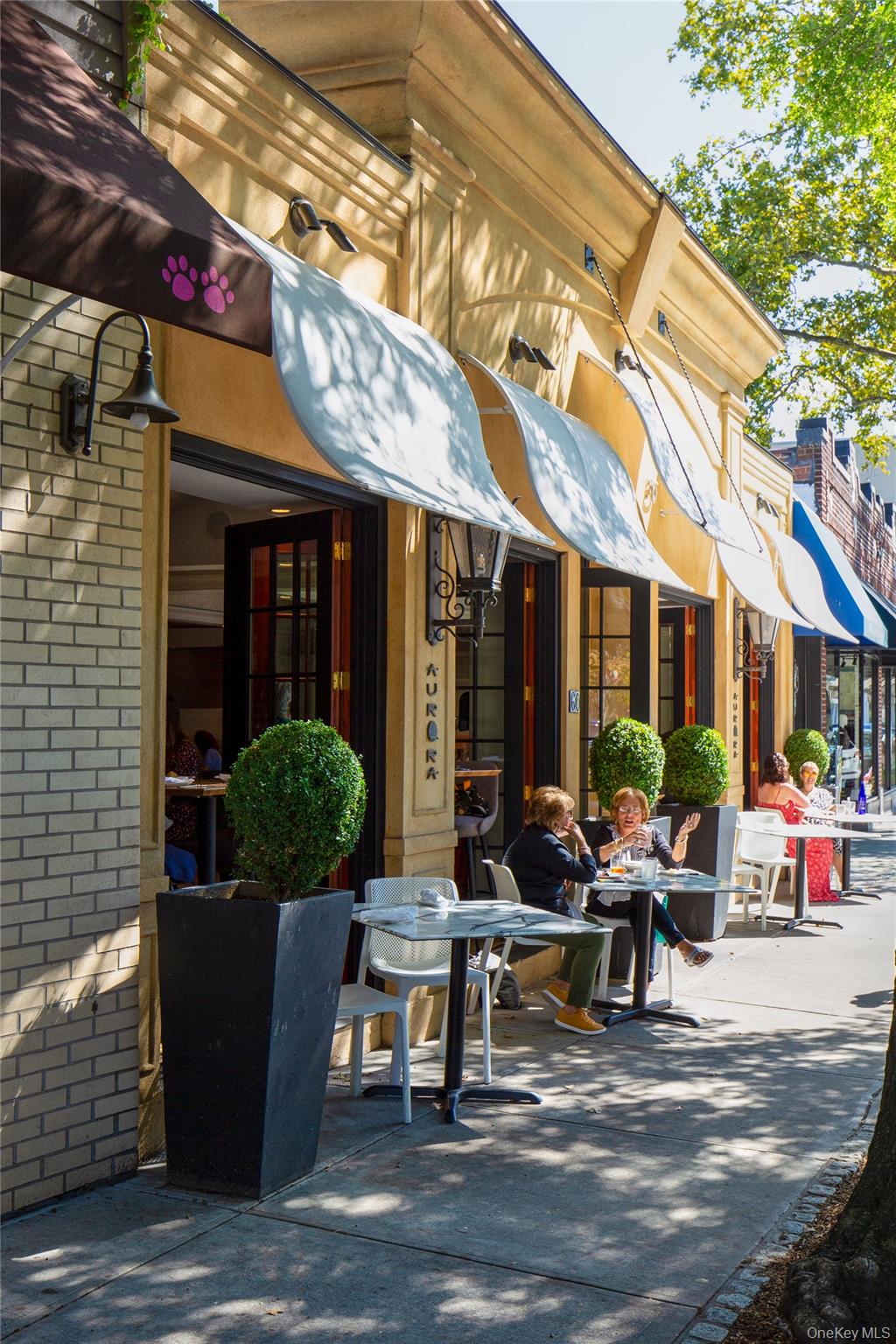 #8 photo, 21 Thorne Place, Rye , NY 10580