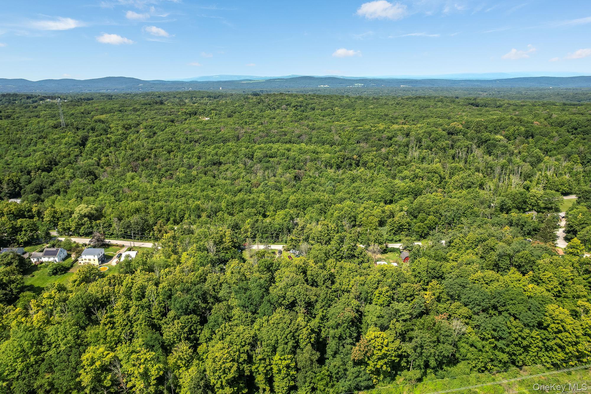 #5 photo, 149 S Quaker Lane, Hyde Park , NY 12538