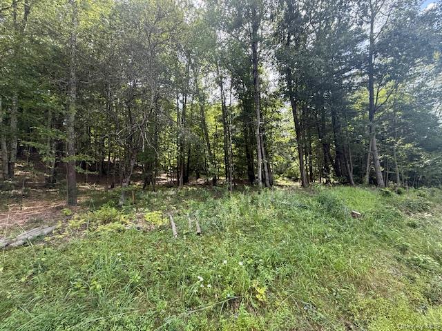 #1 photo, LOT 3 Shoddy Hollow Road, 紐約州 Otisville , NY 10963
