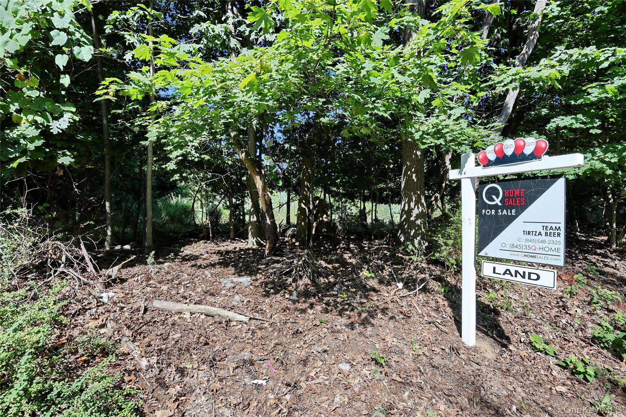 #11 photo, 6 Bellows Lane, Monsey , NY 10952