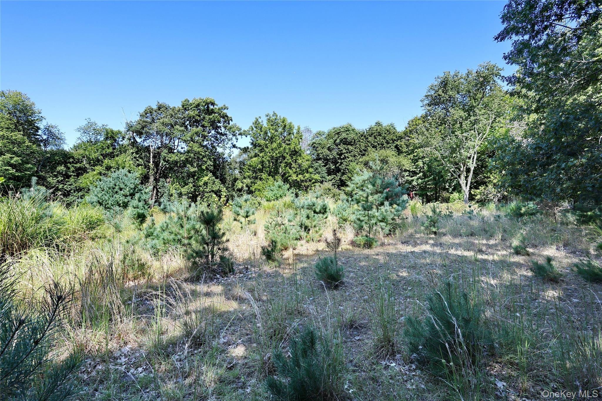 #13 photo, 6 Bellows Lane, Monsey , NY 10952