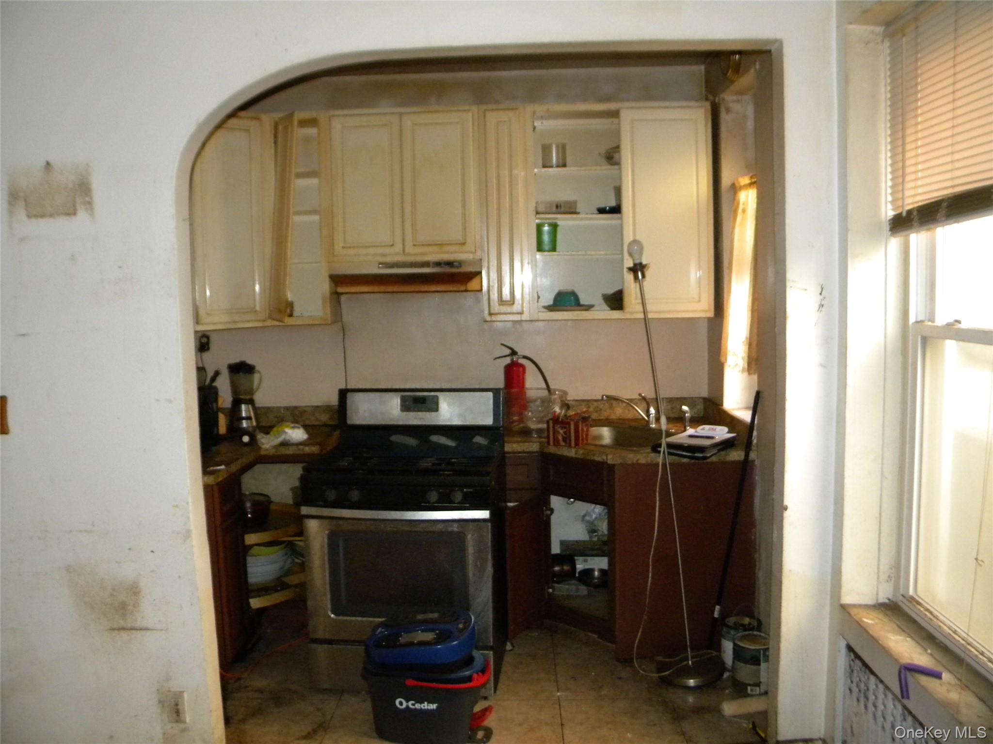 #5 photo, 231 Park Place, ブルックリン区 Brooklyn , NY 11238