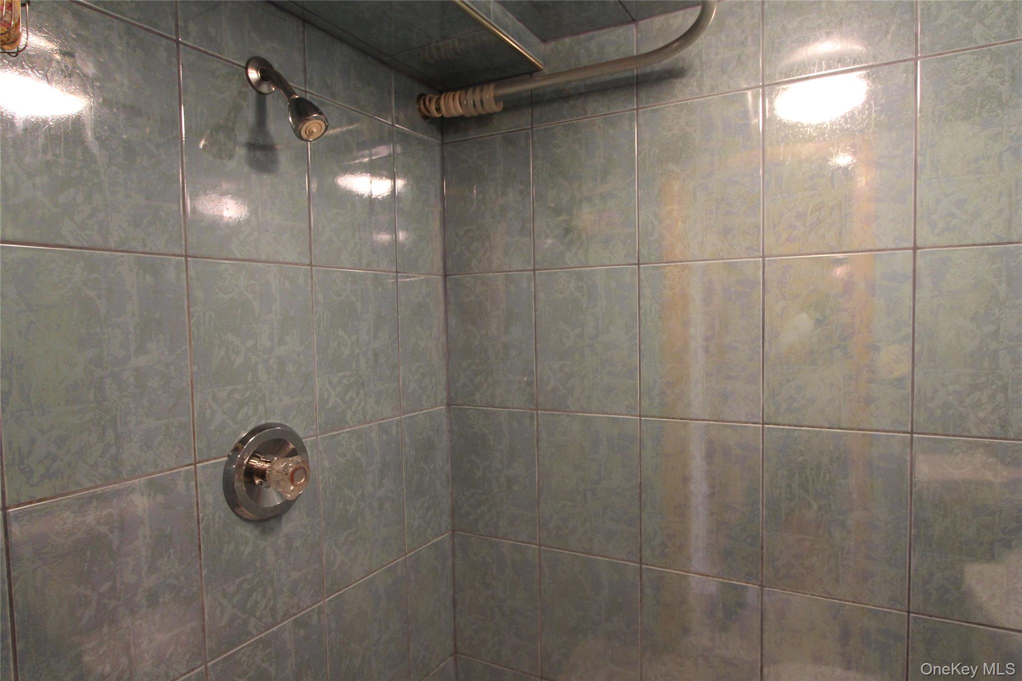 #19 photo, 63-61 77th Street, クイーンズ区 Middle Village , NY 11379