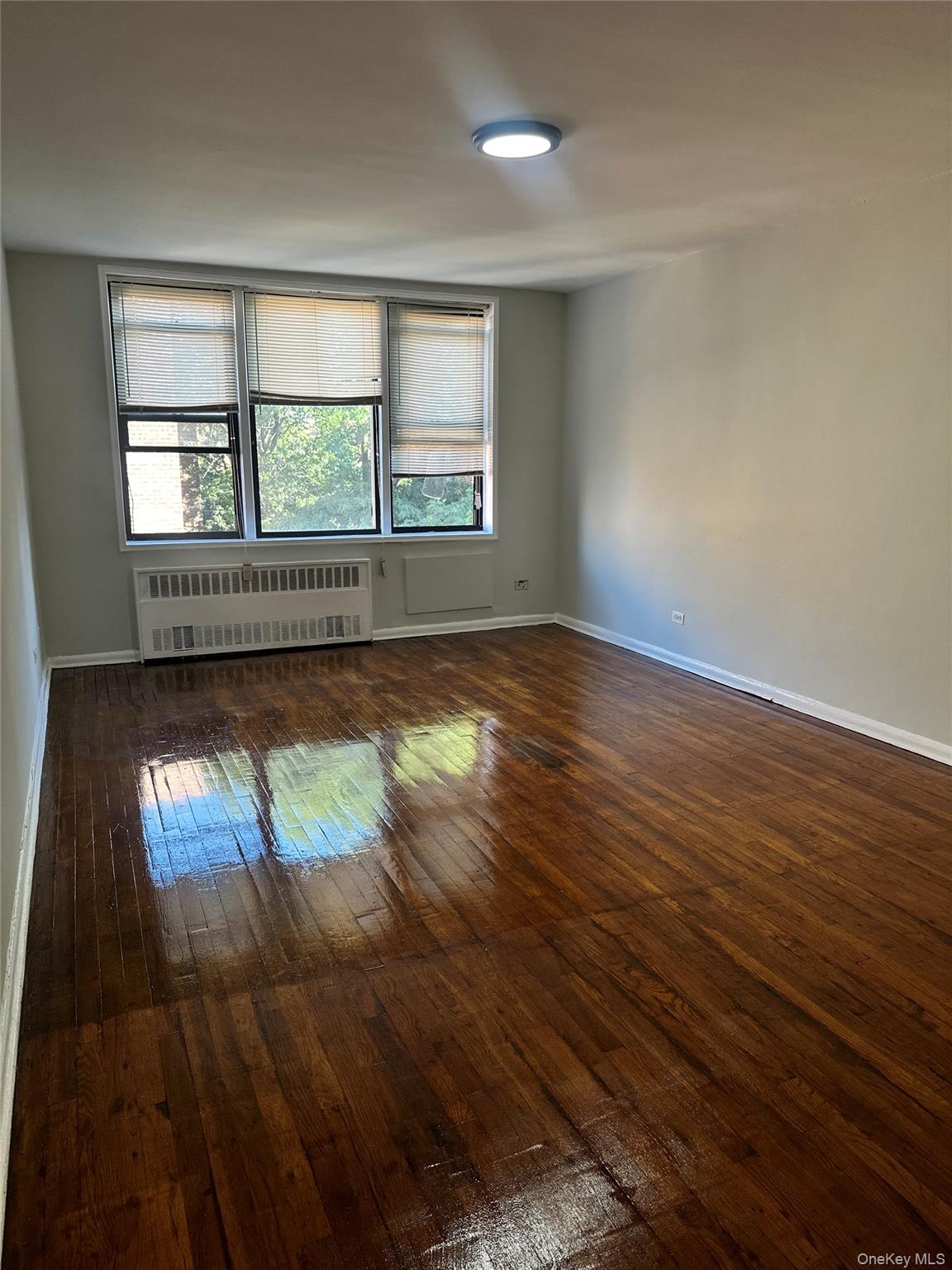 #3 photo, 83-30 Vietor Avenue, クイーンズ区 Elmhurst , NY 11373