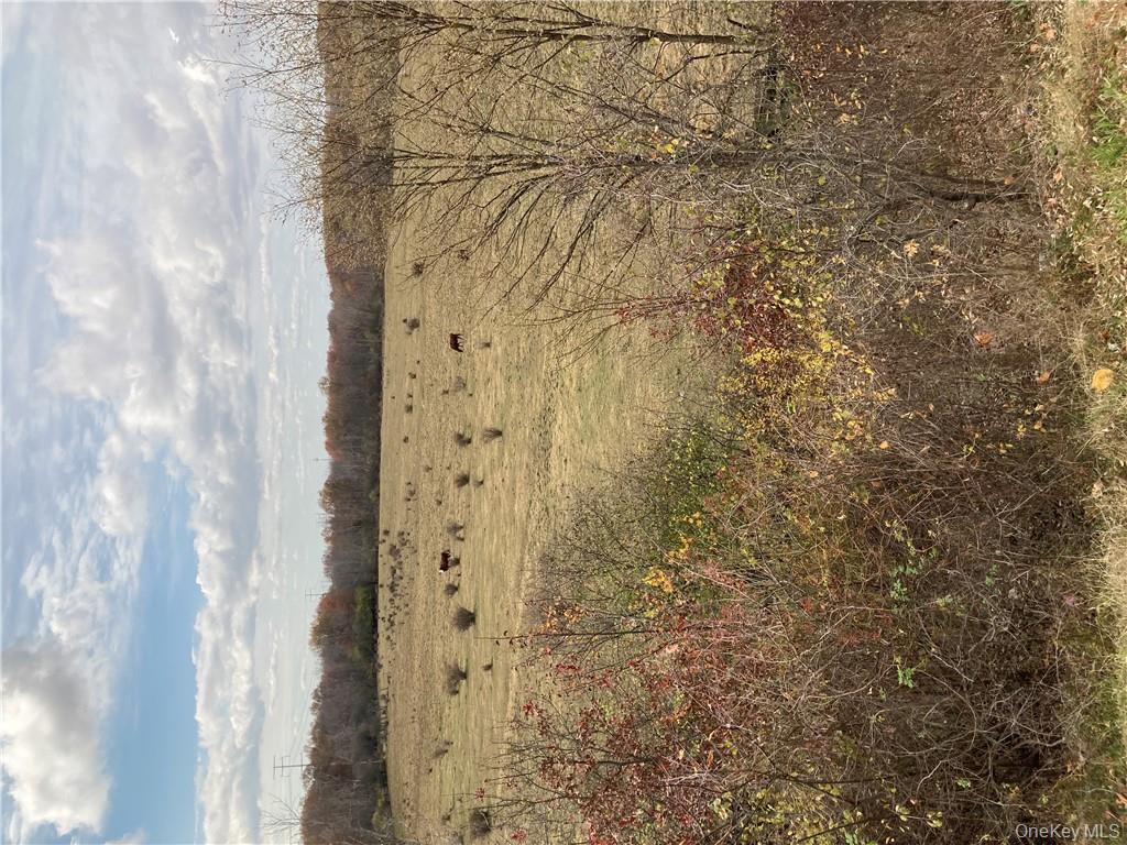 #15 photo, 117 Hamptonburgh Road, Campbell Hall , NY 10916