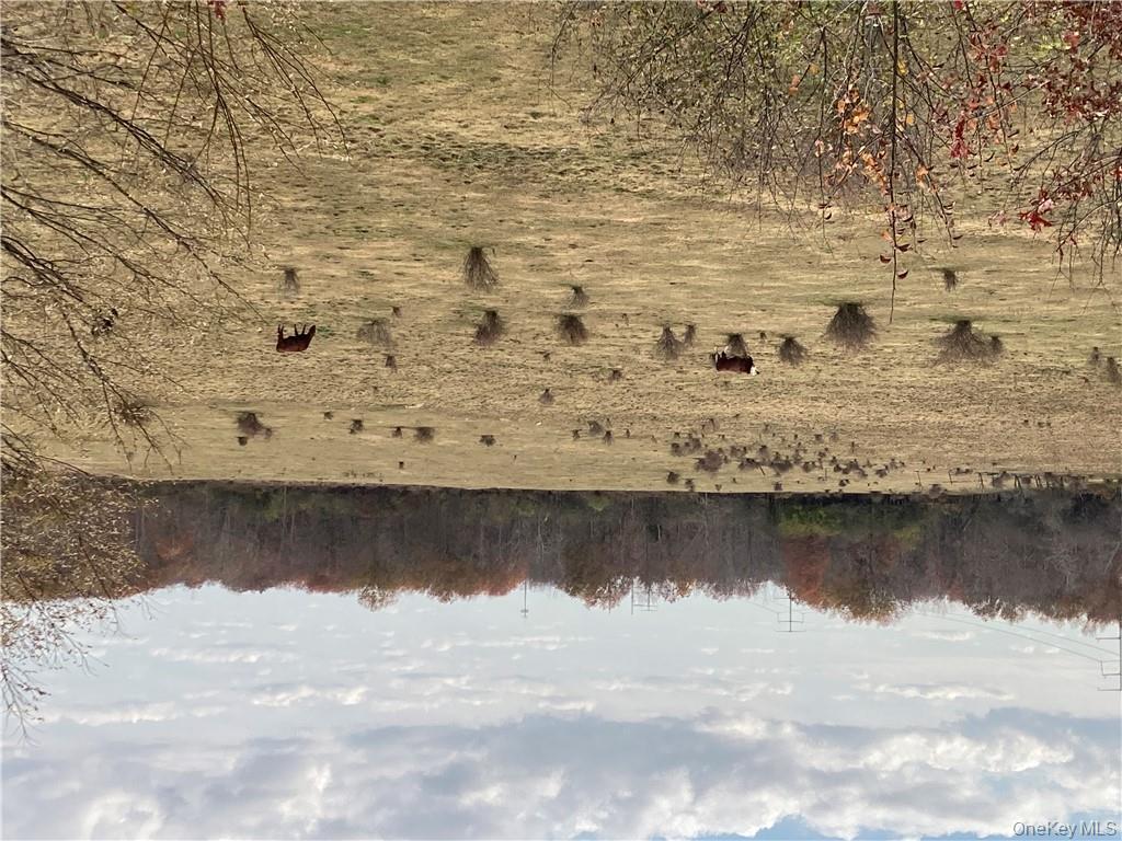 #16 photo, 117 Hamptonburgh Road, Campbell Hall , NY 10916