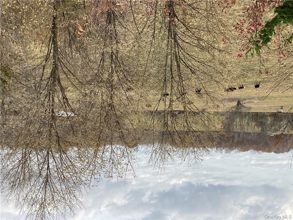 #17 photo, 117 Hamptonburgh Road, Campbell Hall , NY 10916