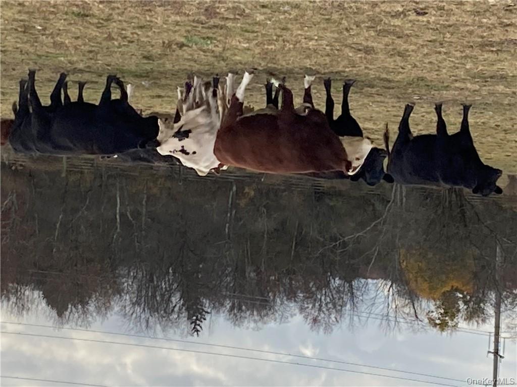 #7 photo, 117 Hamptonburgh Road, Campbell Hall , NY 10916