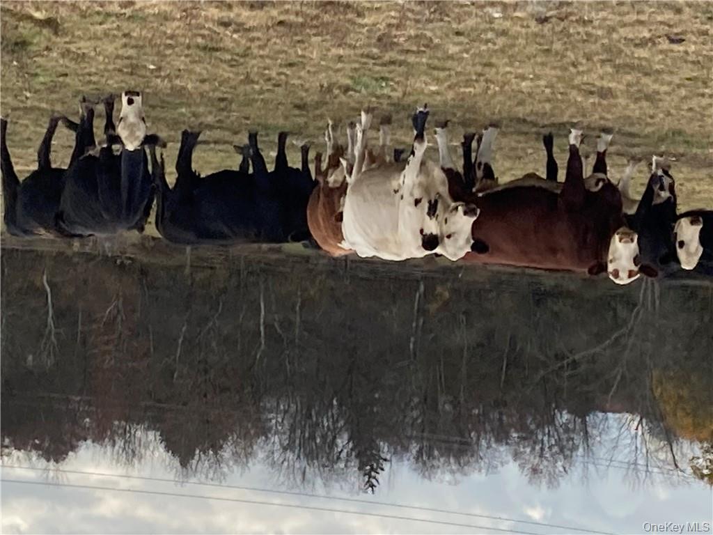 #8 photo, 117 Hamptonburgh Road, Campbell Hall , NY 10916