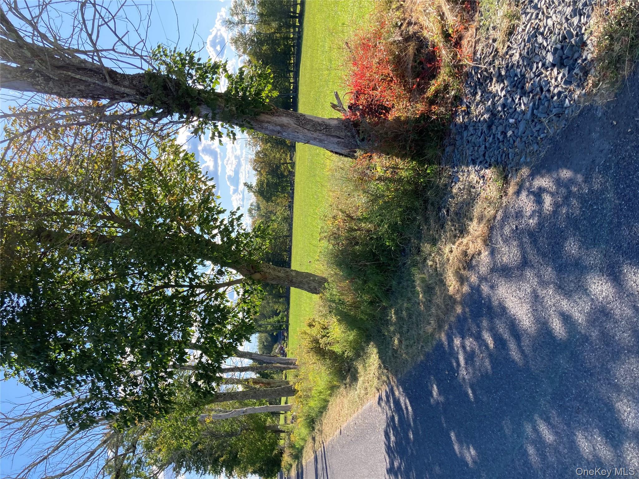 #14 photo, 156 Rose Road, Fallsburg , NY 12788