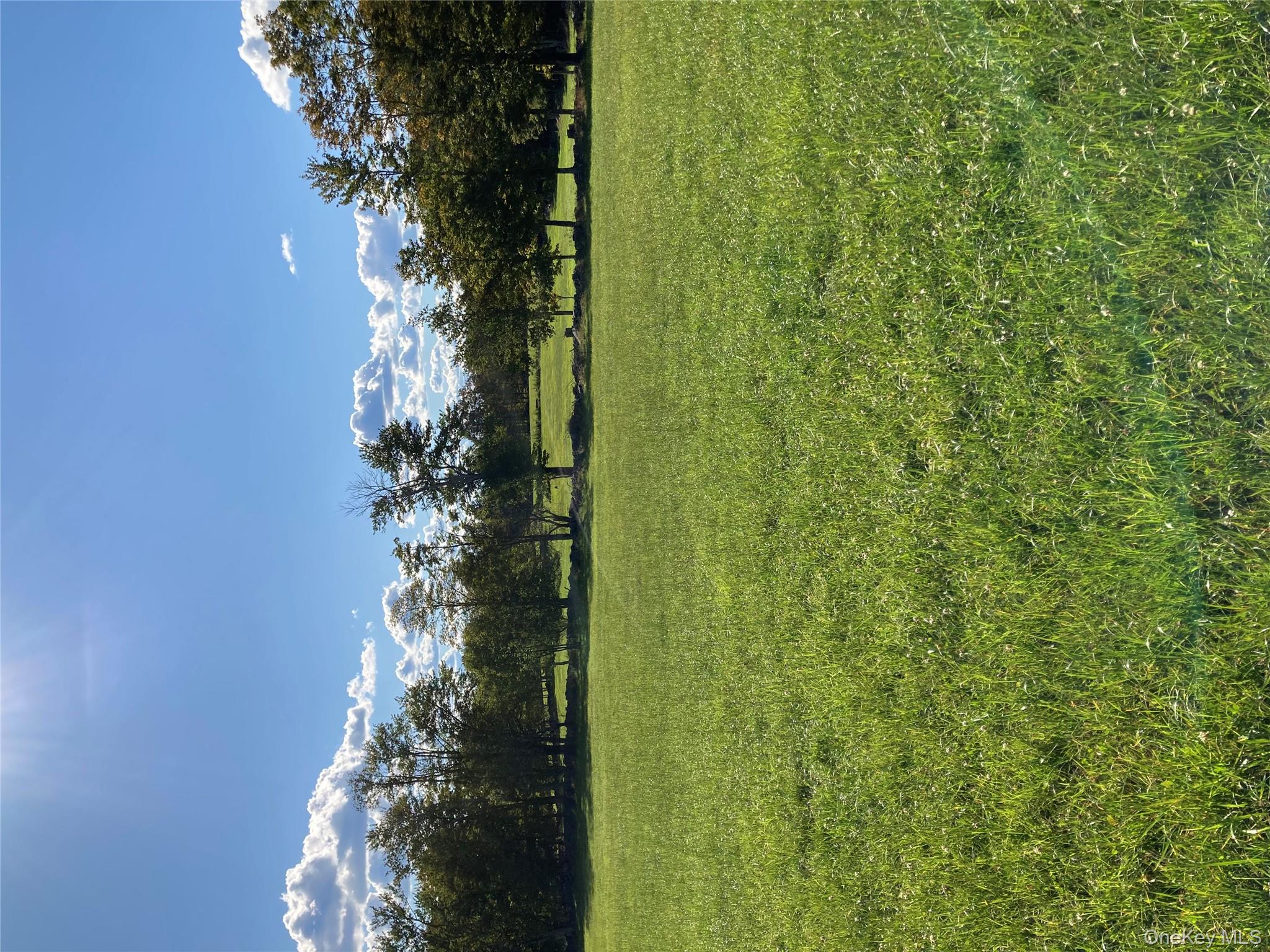 #16 photo, 156 Rose Road, Fallsburg , NY 12788