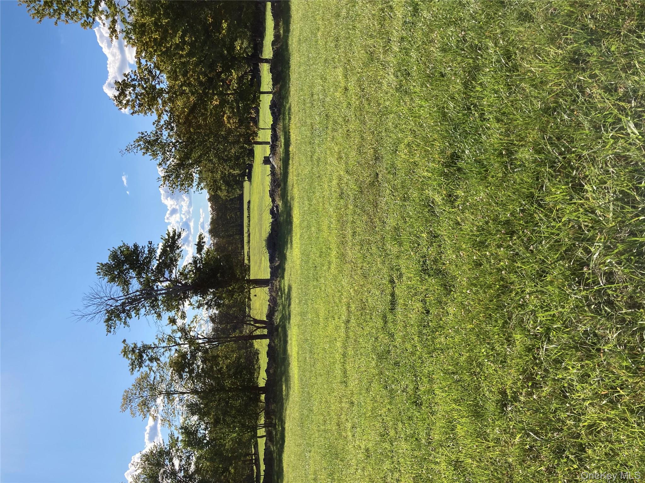 #17 photo, 156 Rose Road, Fallsburg , NY 12788