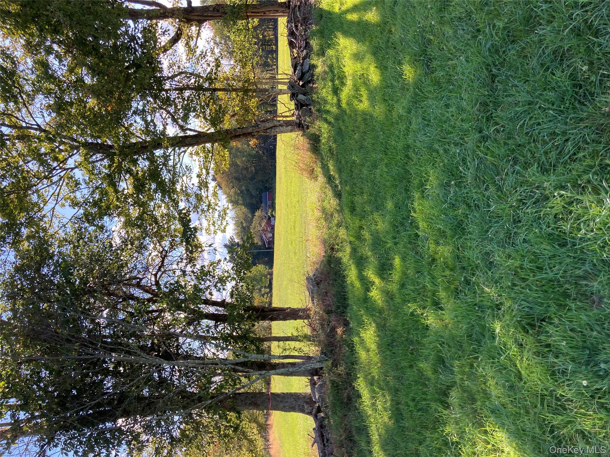 #18 photo, 156 Rose Road, Fallsburg , NY 12788