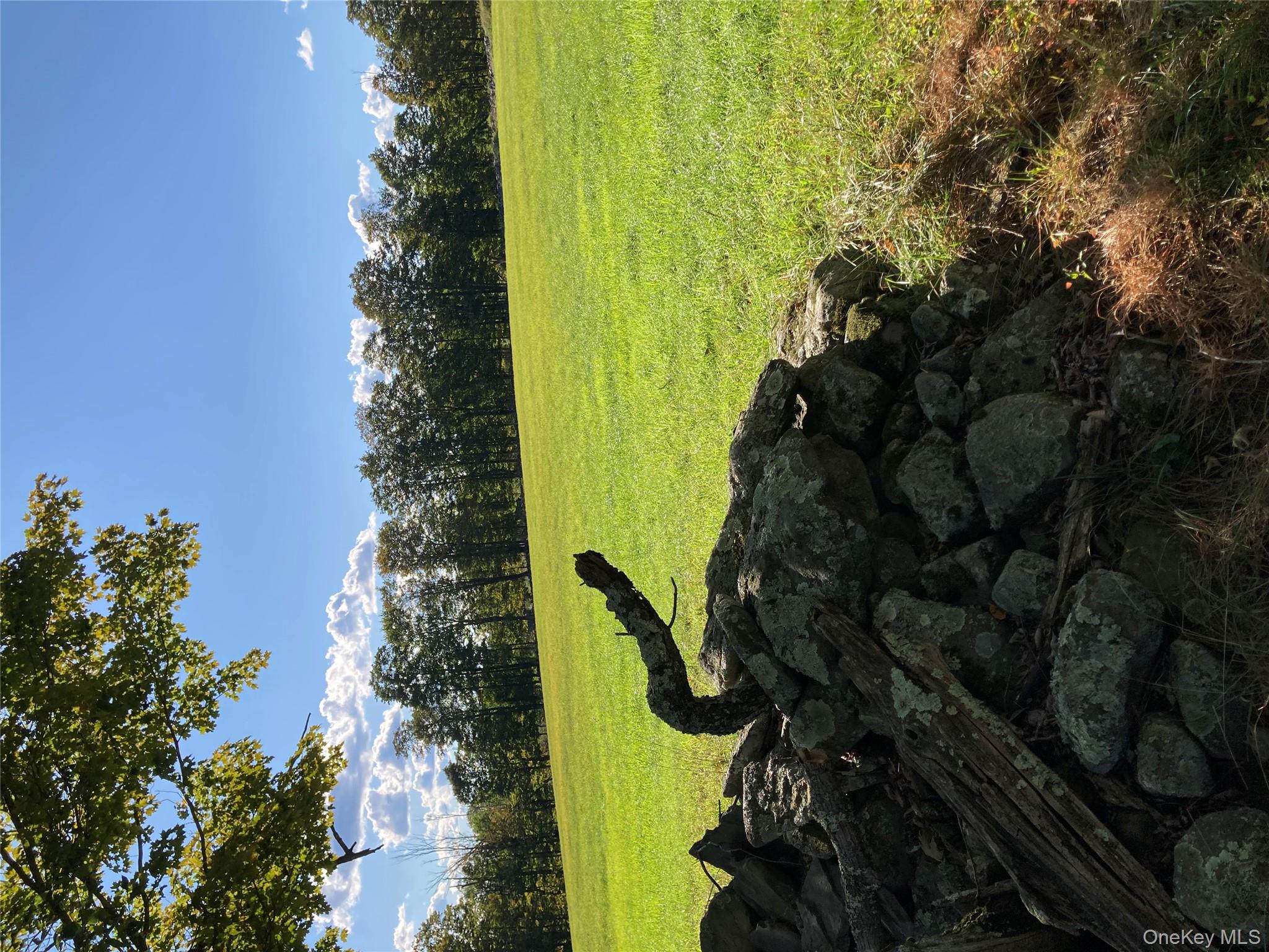 #19 photo, 156 Rose Road, Fallsburg , NY 12788