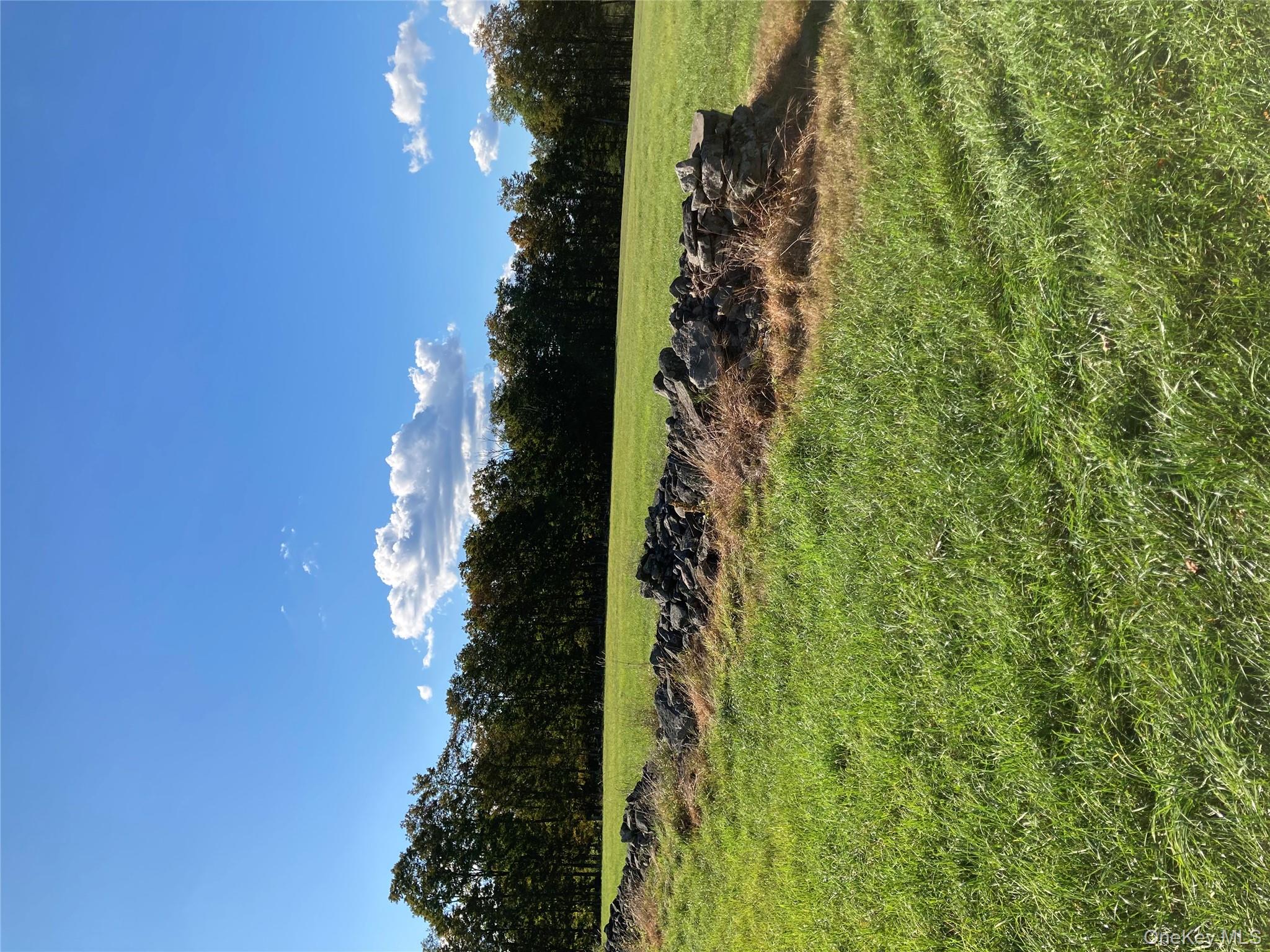 #20 photo, 156 Rose Road, Fallsburg , NY 12788