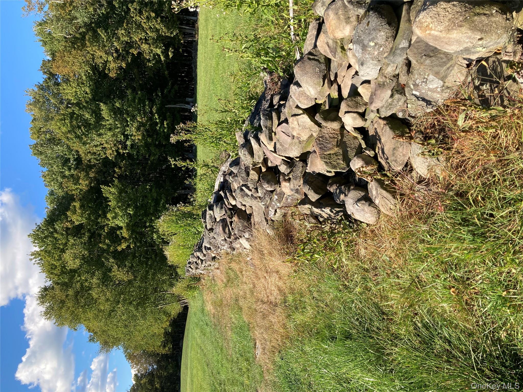 #3 photo, 156 Rose Road, Fallsburg , NY 12788