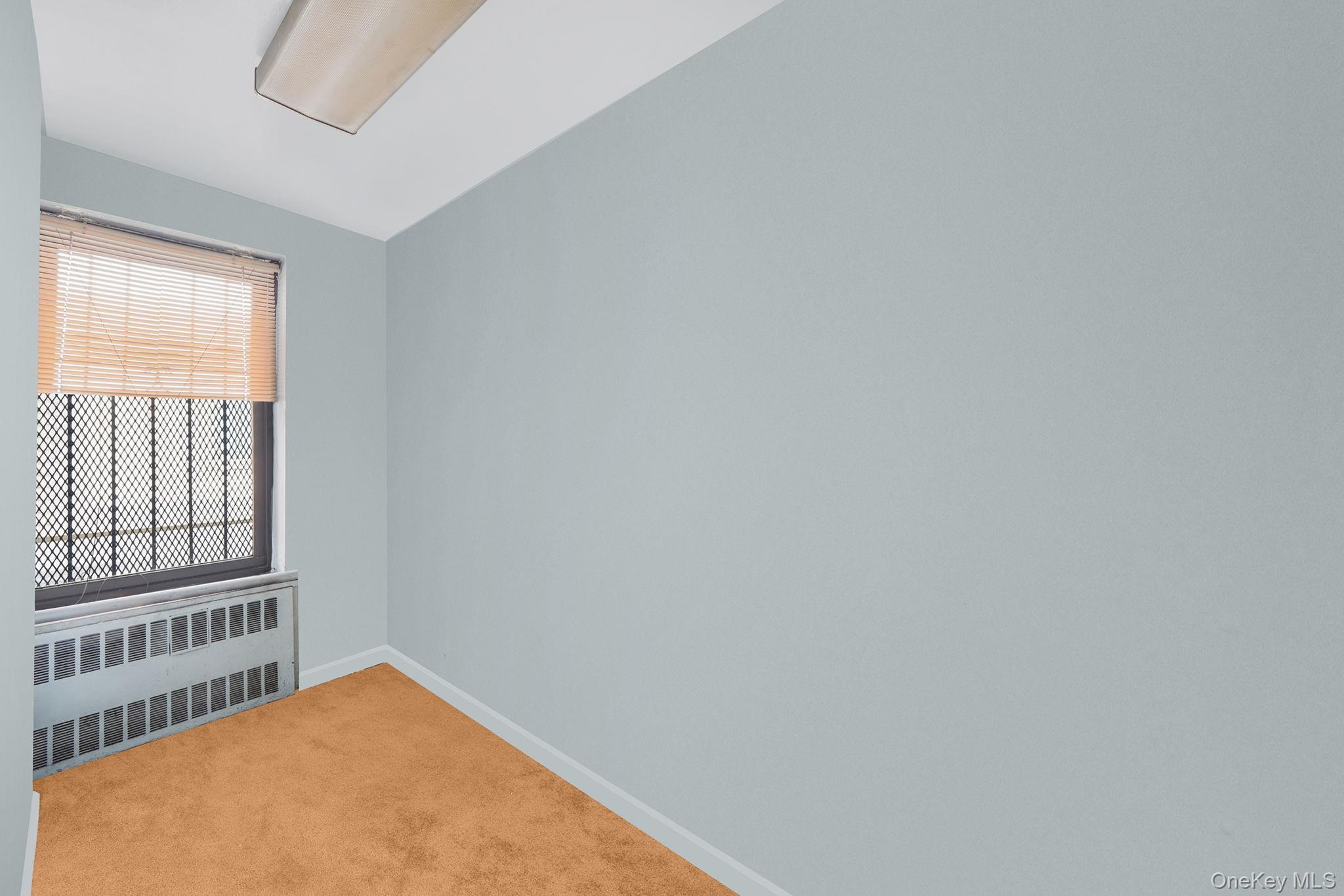 #12 photo, 860 Grand Concourse, Bronx , NY 10451