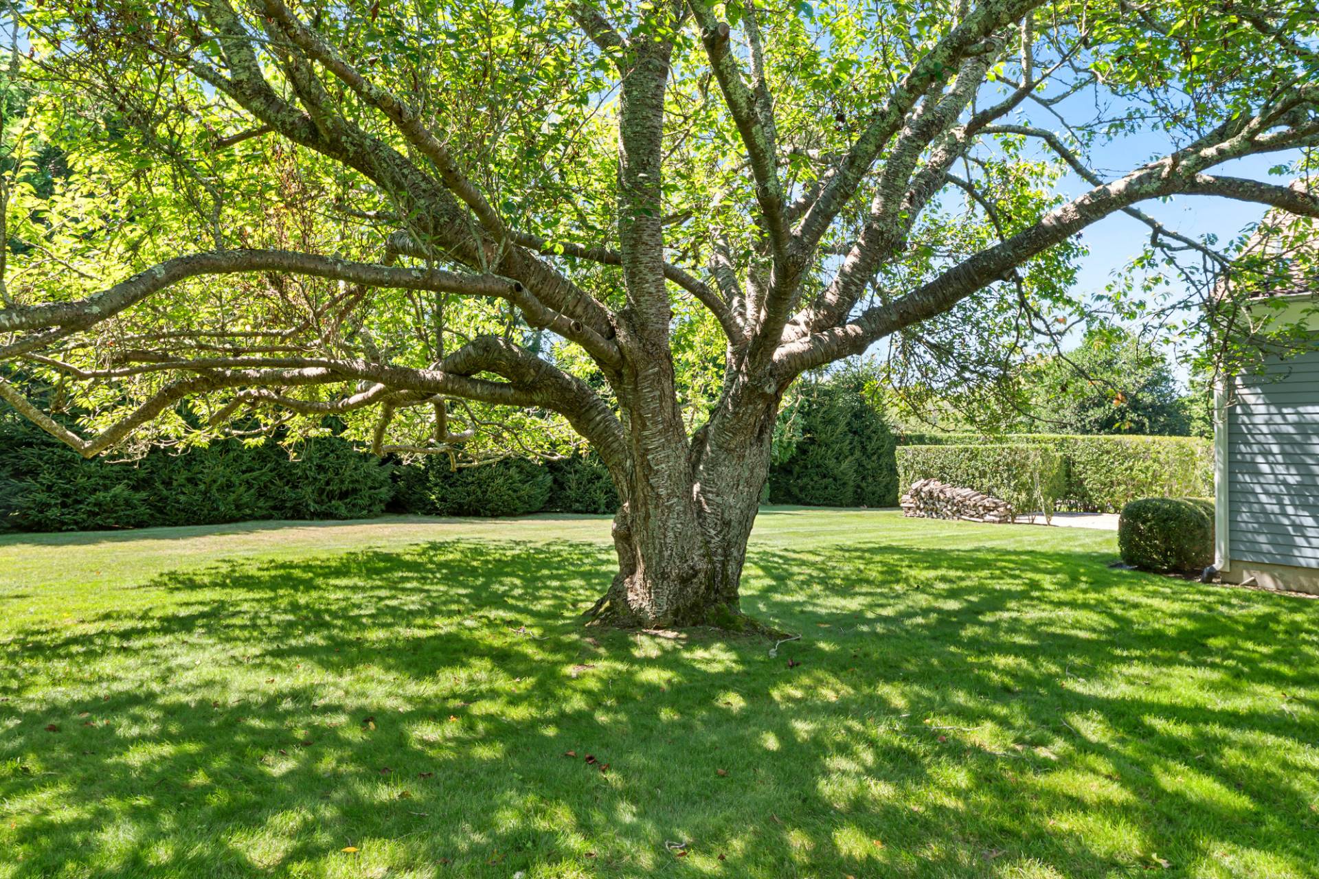 #15 photo, 1 Egypt Close, サフォーク郡 East Hampton , NY 11937