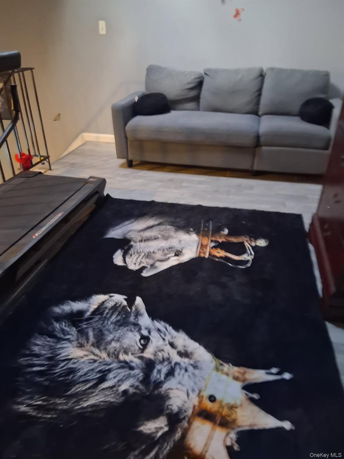 #8 photo, 257 Maple Parkway, Staten Island , NY 10303