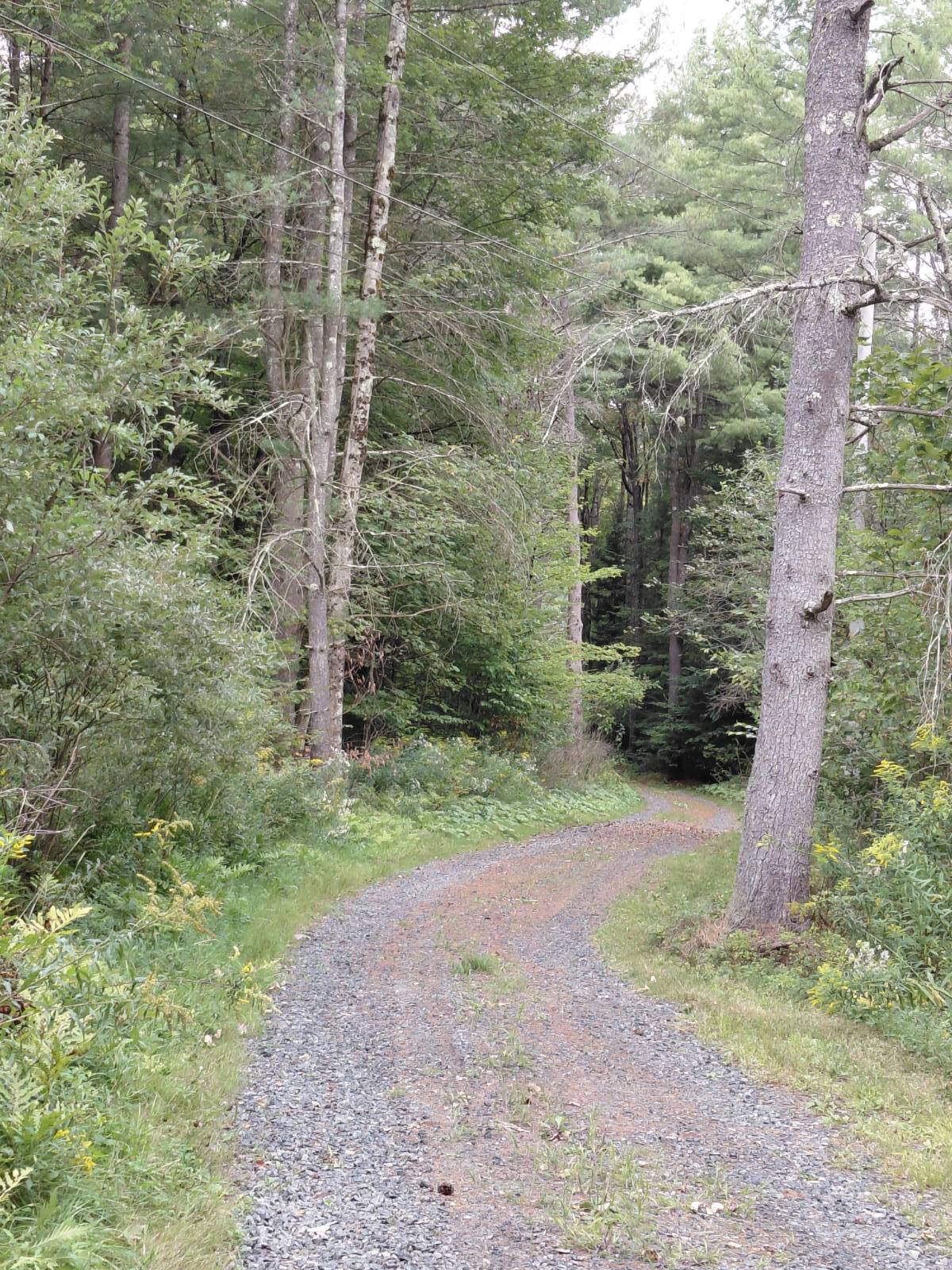 #28 photo, 123 Bickford Rd, Stratford , NY 13470