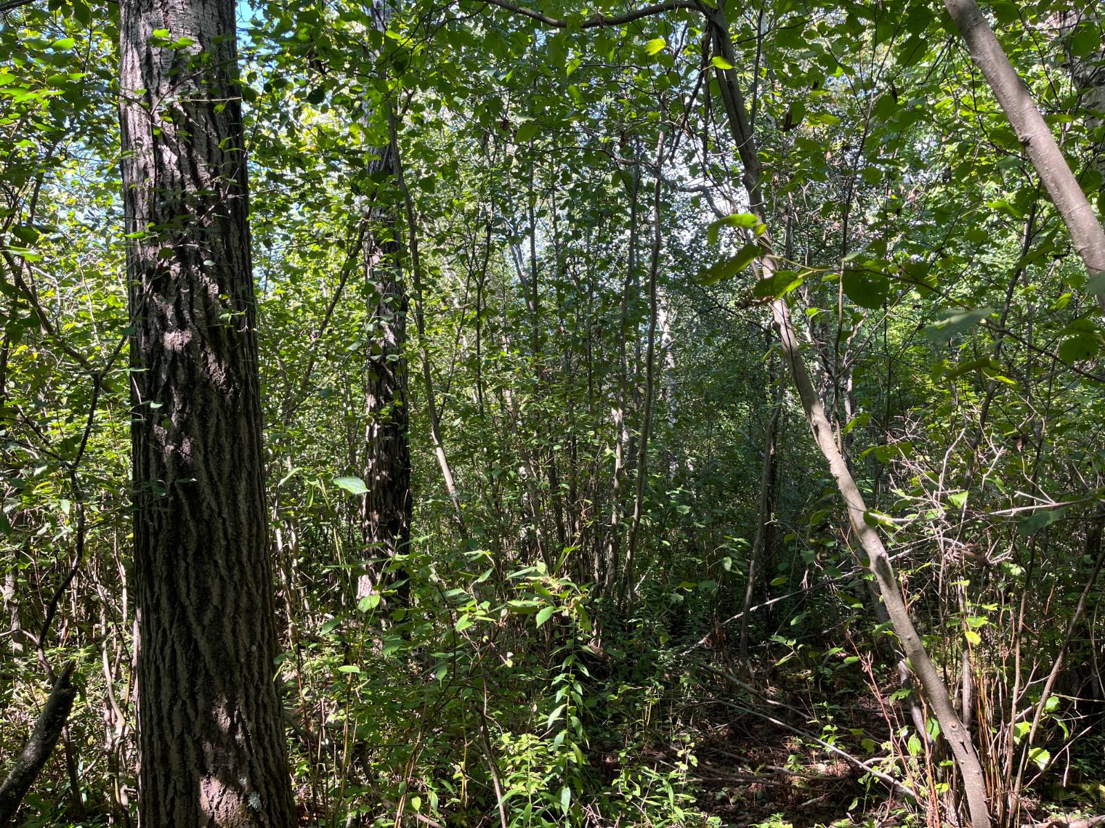 #11 photo, 00 County Route 47, #2, Winthrop , NY 13676