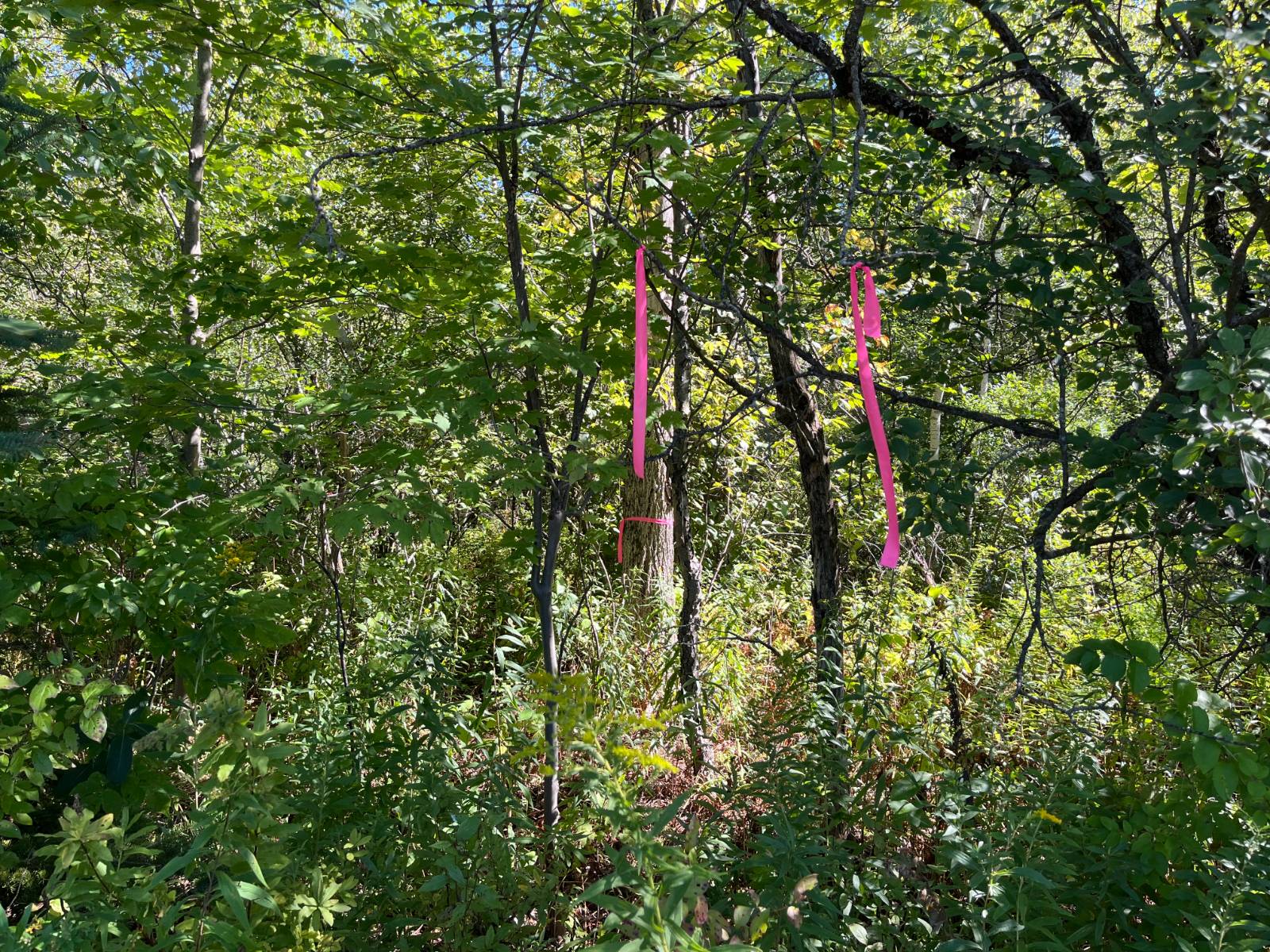 #14 photo, 00 County Route 47, #2, Winthrop , NY 13676