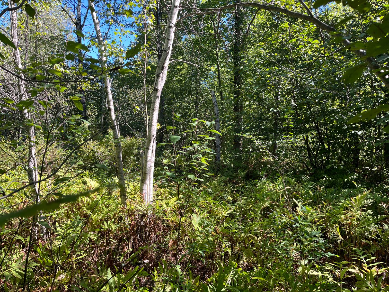 #15 photo, 00 County Route 47, #2, Winthrop , NY 13676