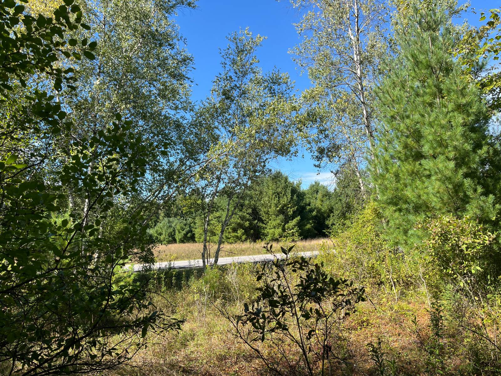 #16 photo, 00 County Route 47, #2, Winthrop , NY 13676