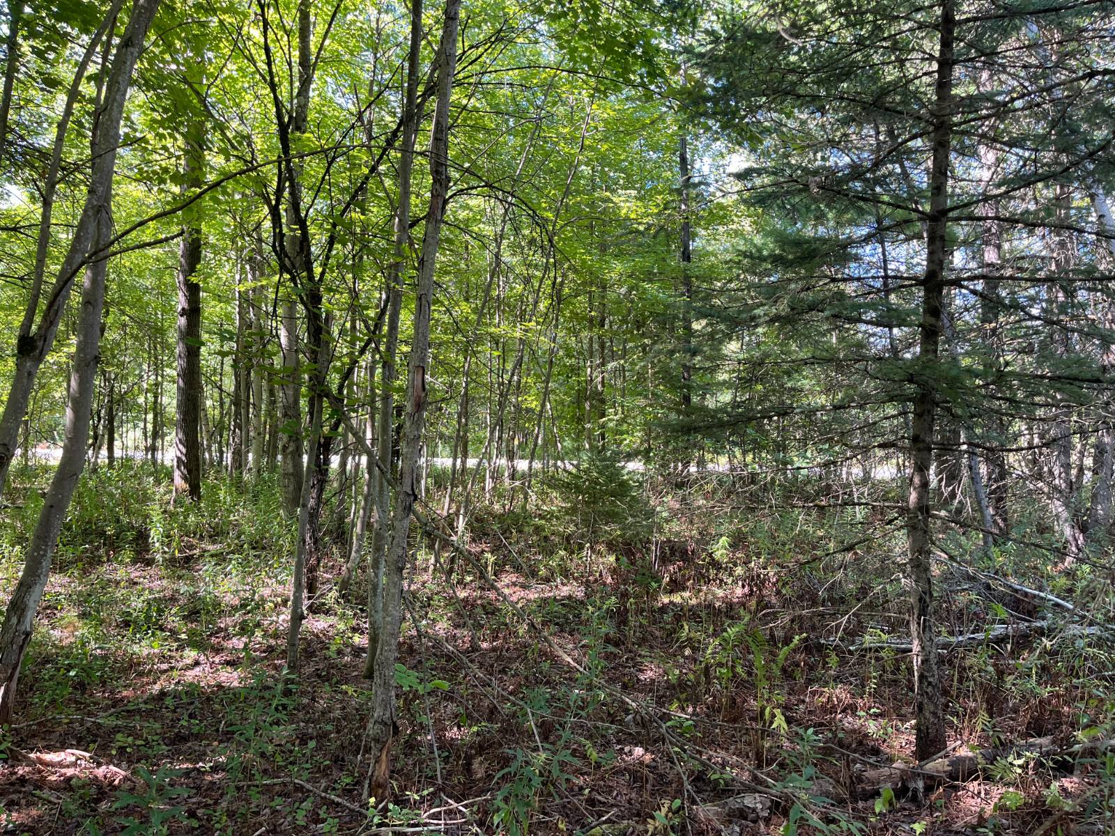 #18 photo, 00 County Route 47, #2, Winthrop , NY 13676